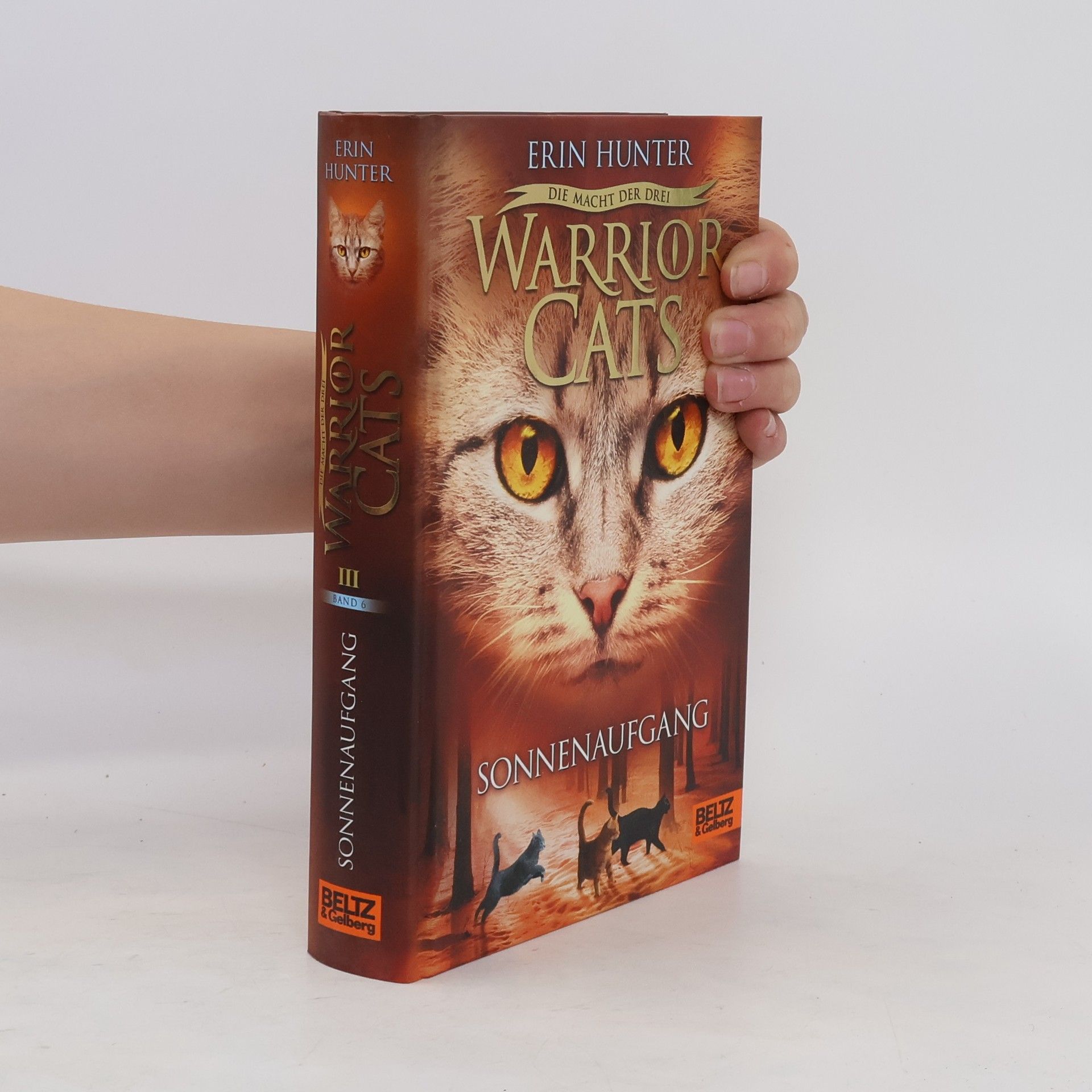 Erin Hunter Warrior Cats. Sonnenaufgang