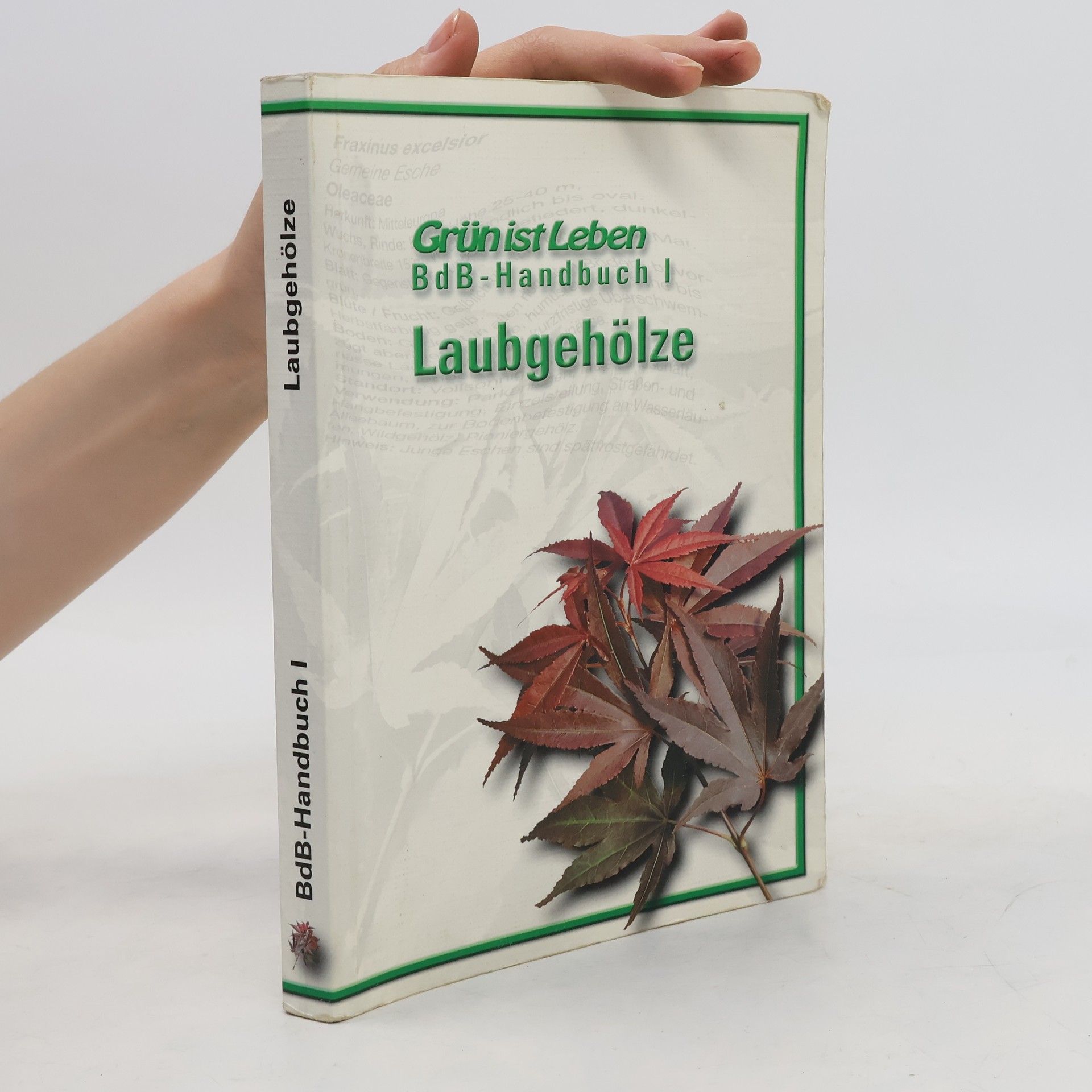 Otto Rivinius BdB-Handbuch