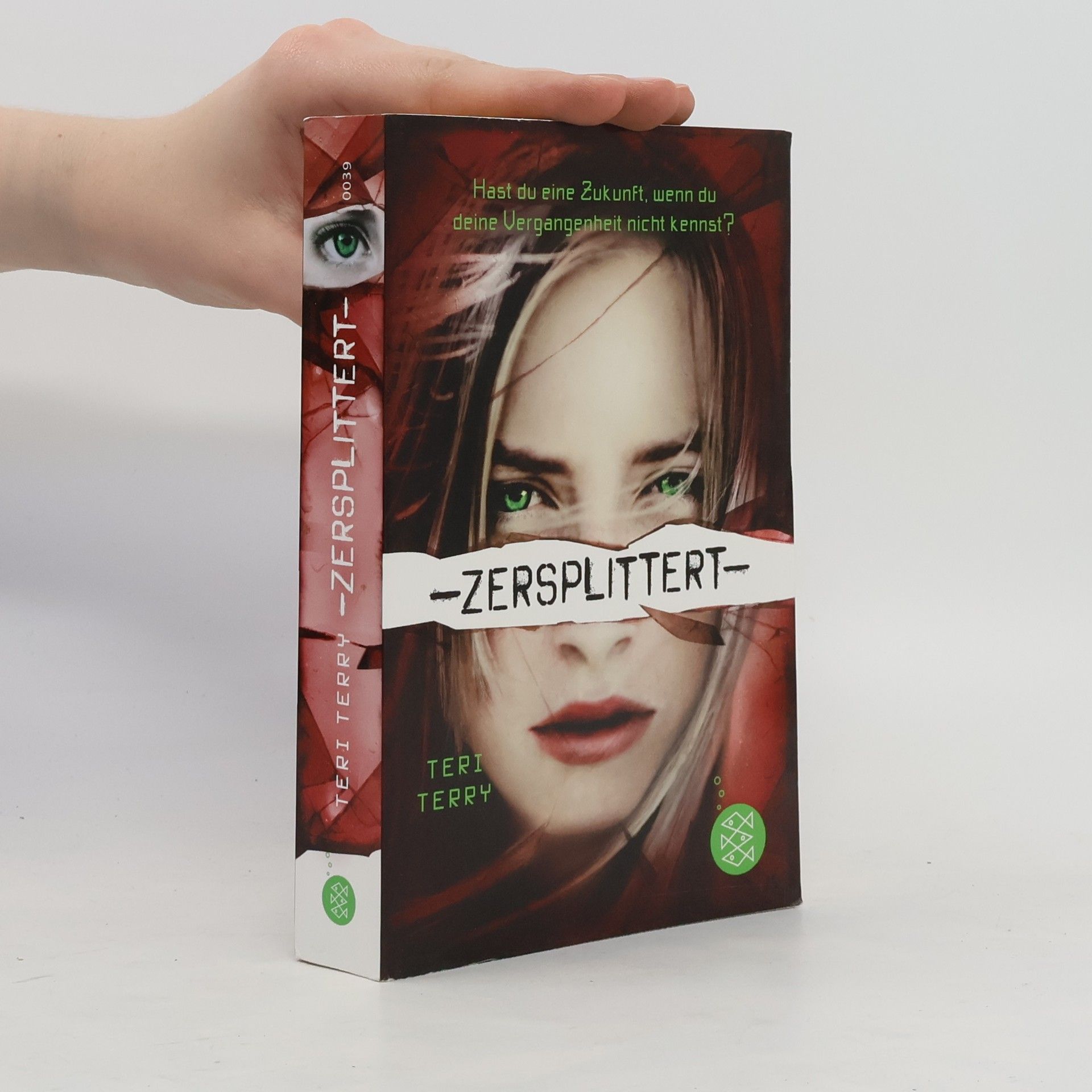 Teri Terry Zersplittert