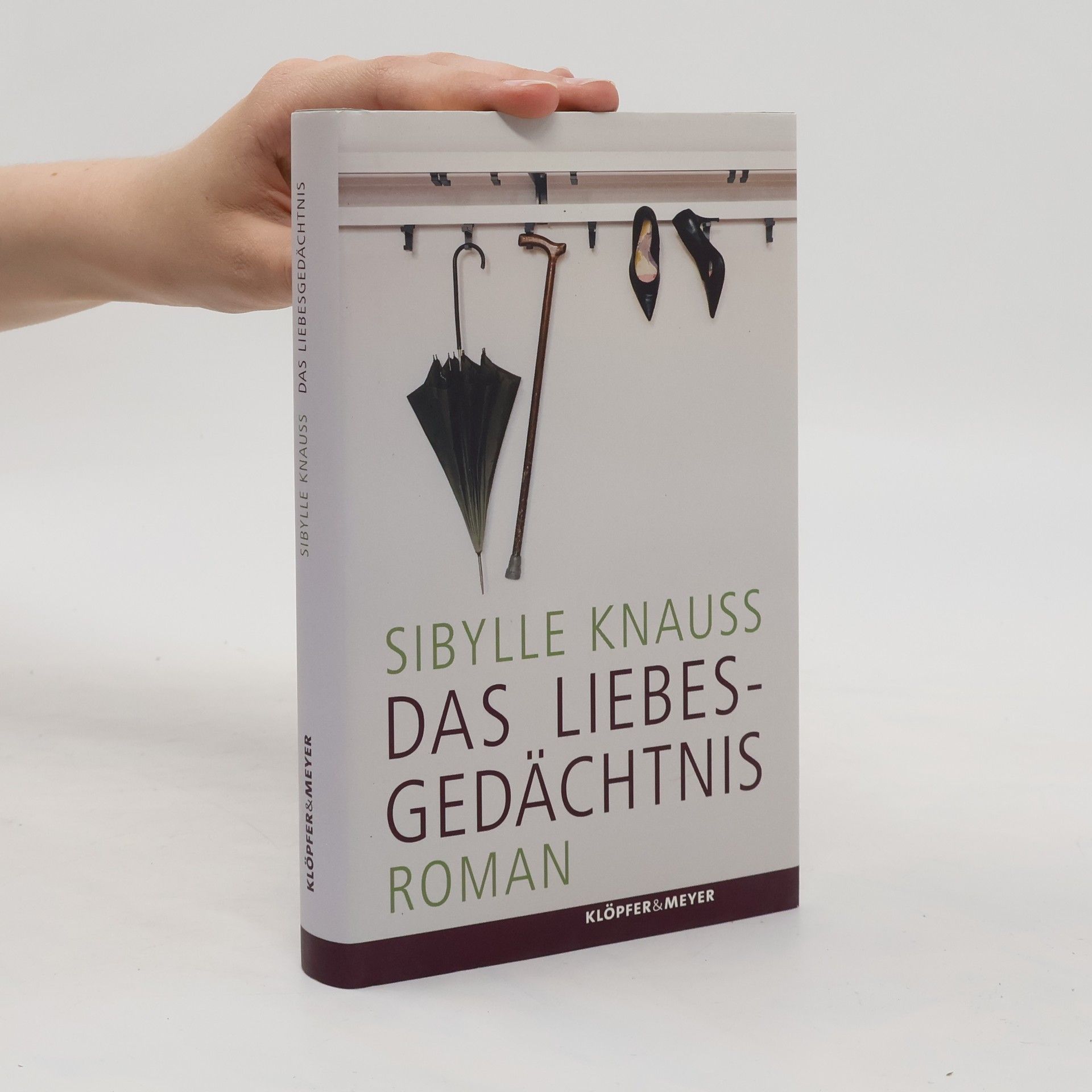 Sibylle Knauss Das Liebesgedächtnis