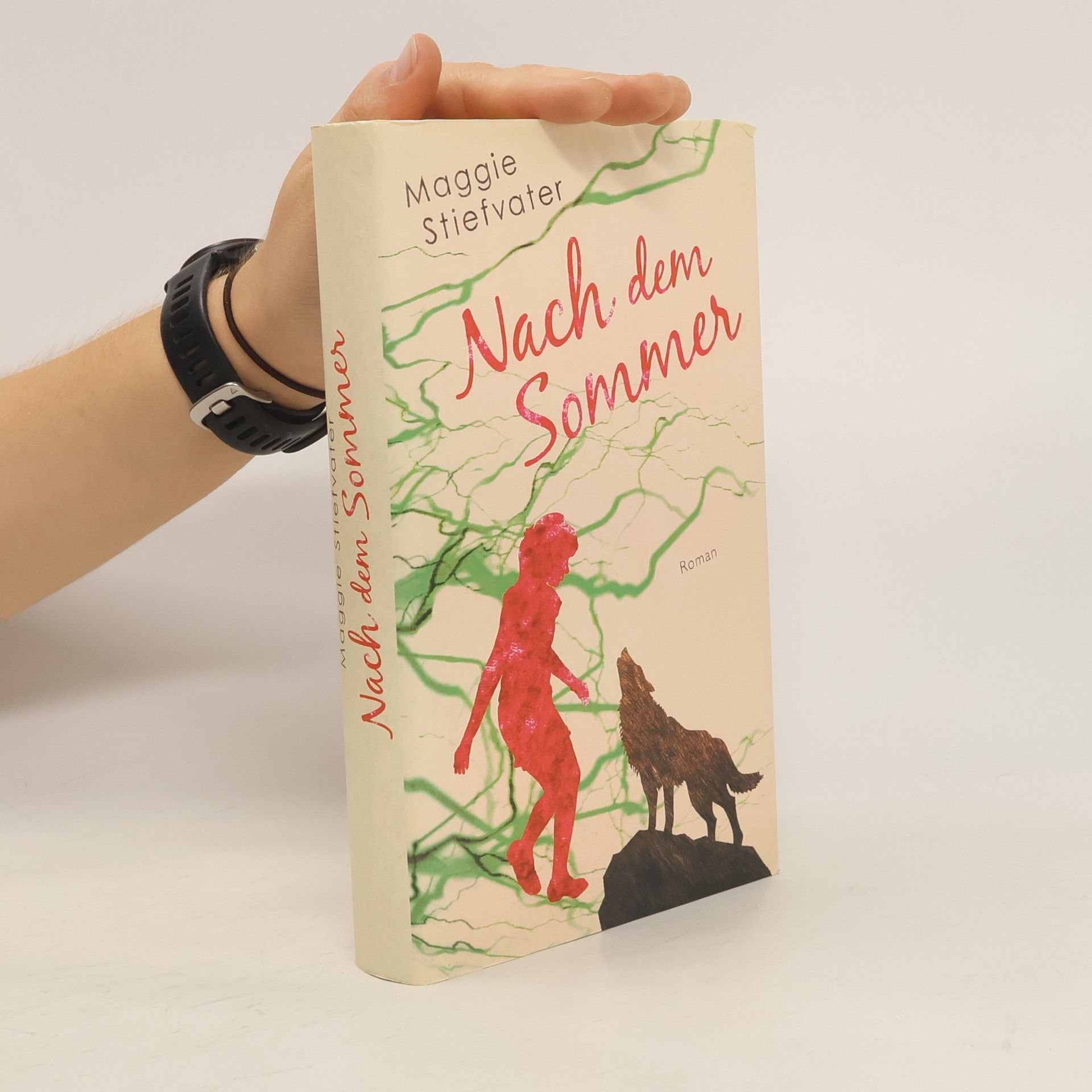 Maggie Stifvater Nachm dem Sommer