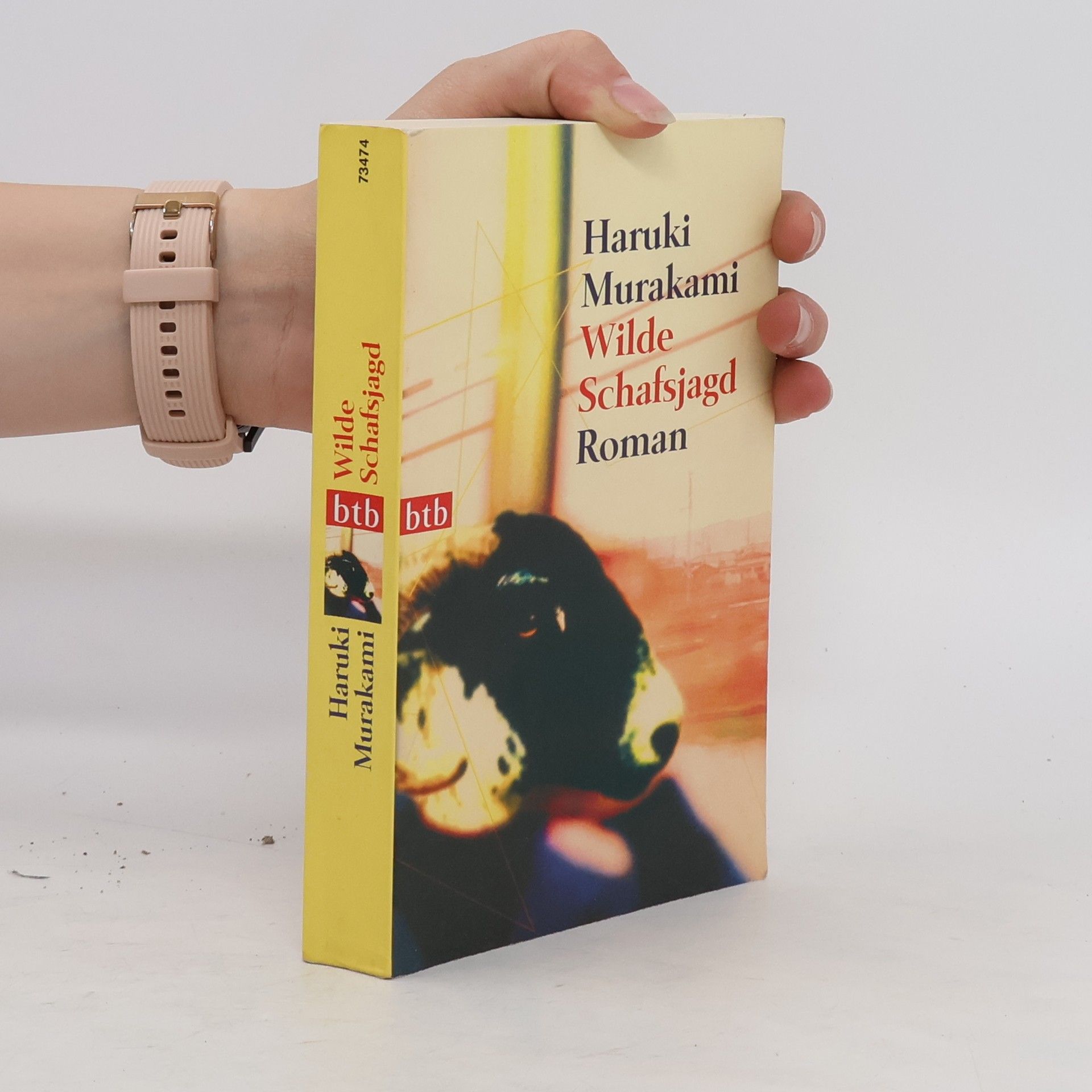 Haruki Murakami Wilde Schafsjagd