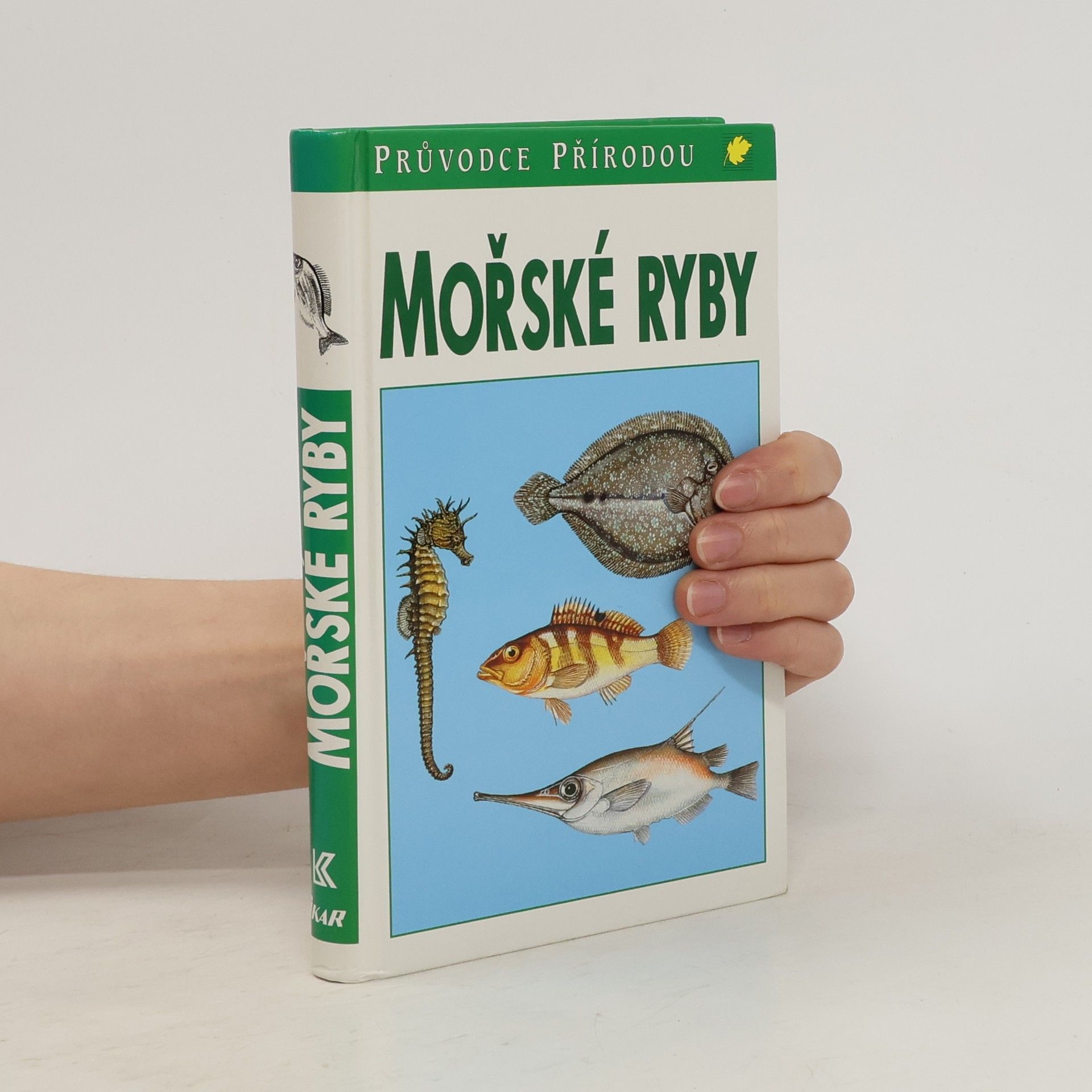 Sauer Frieder Mořské ryby v evropských vodách