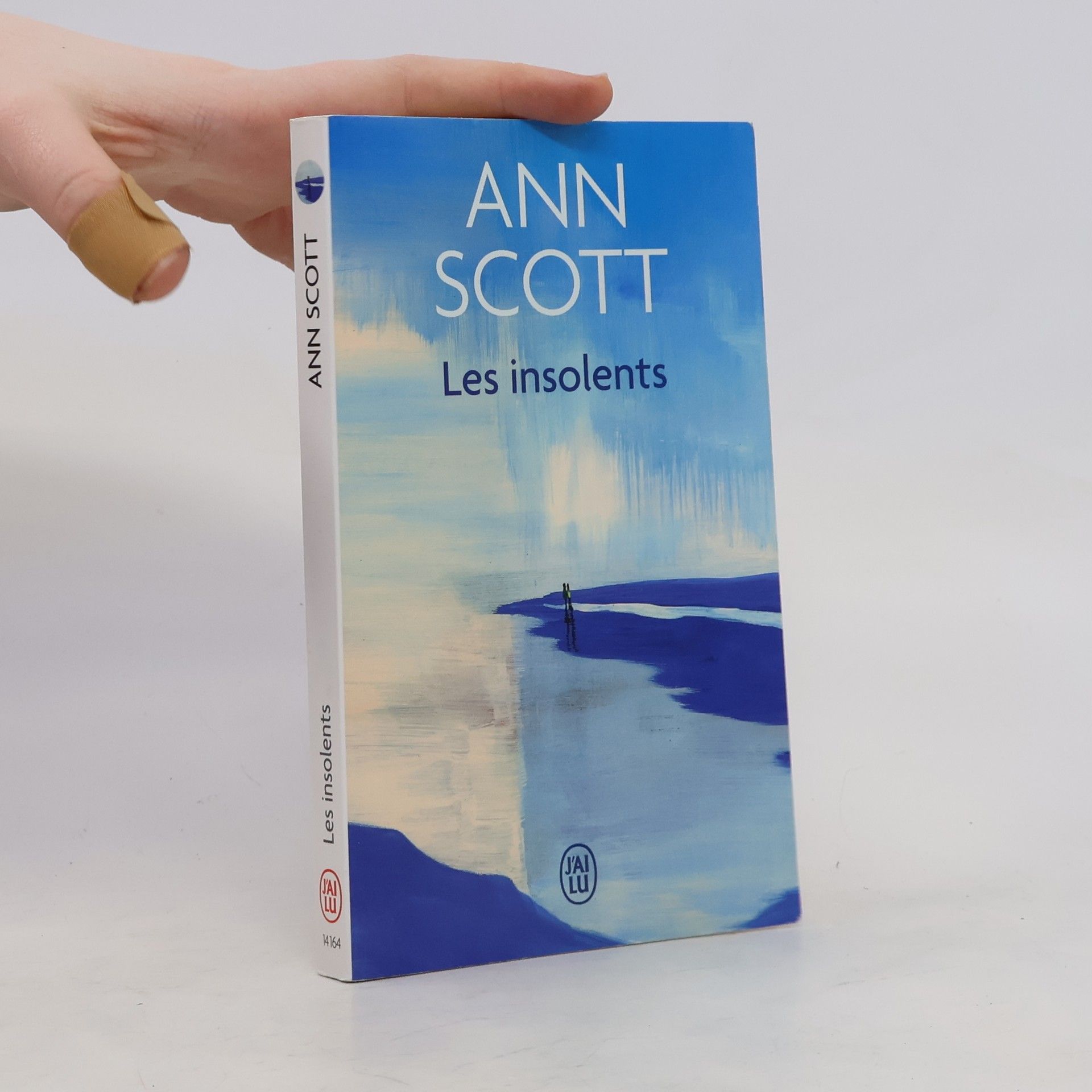 Anne Scott Les Insolents