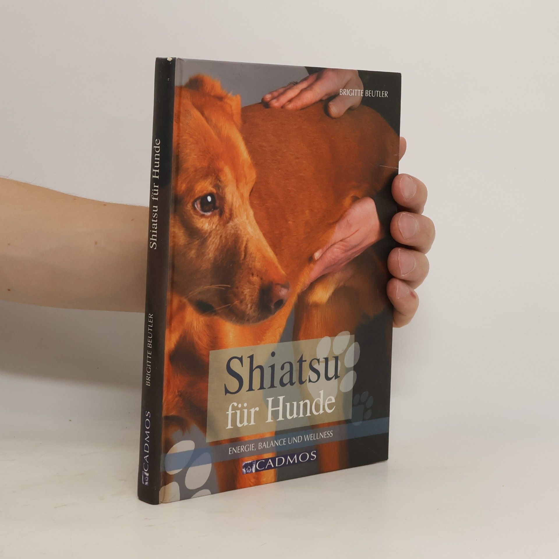 Brigitte Beutler Shiatsu für Hunde