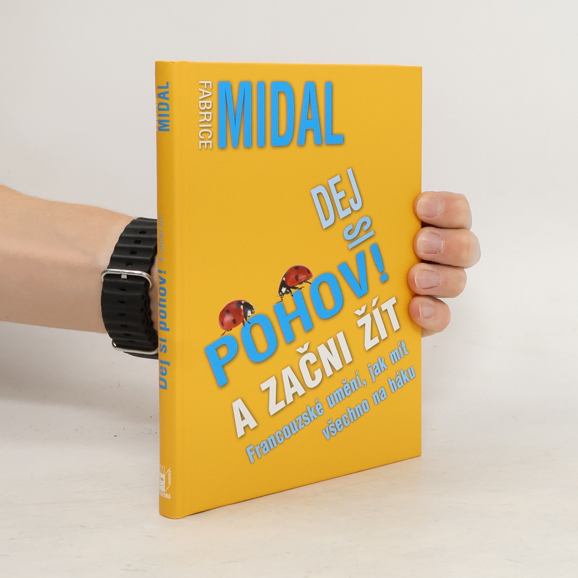 Fabrice Midal Dej si pohov! A začni žít. Francouzské umění, jak mít všechno na háku