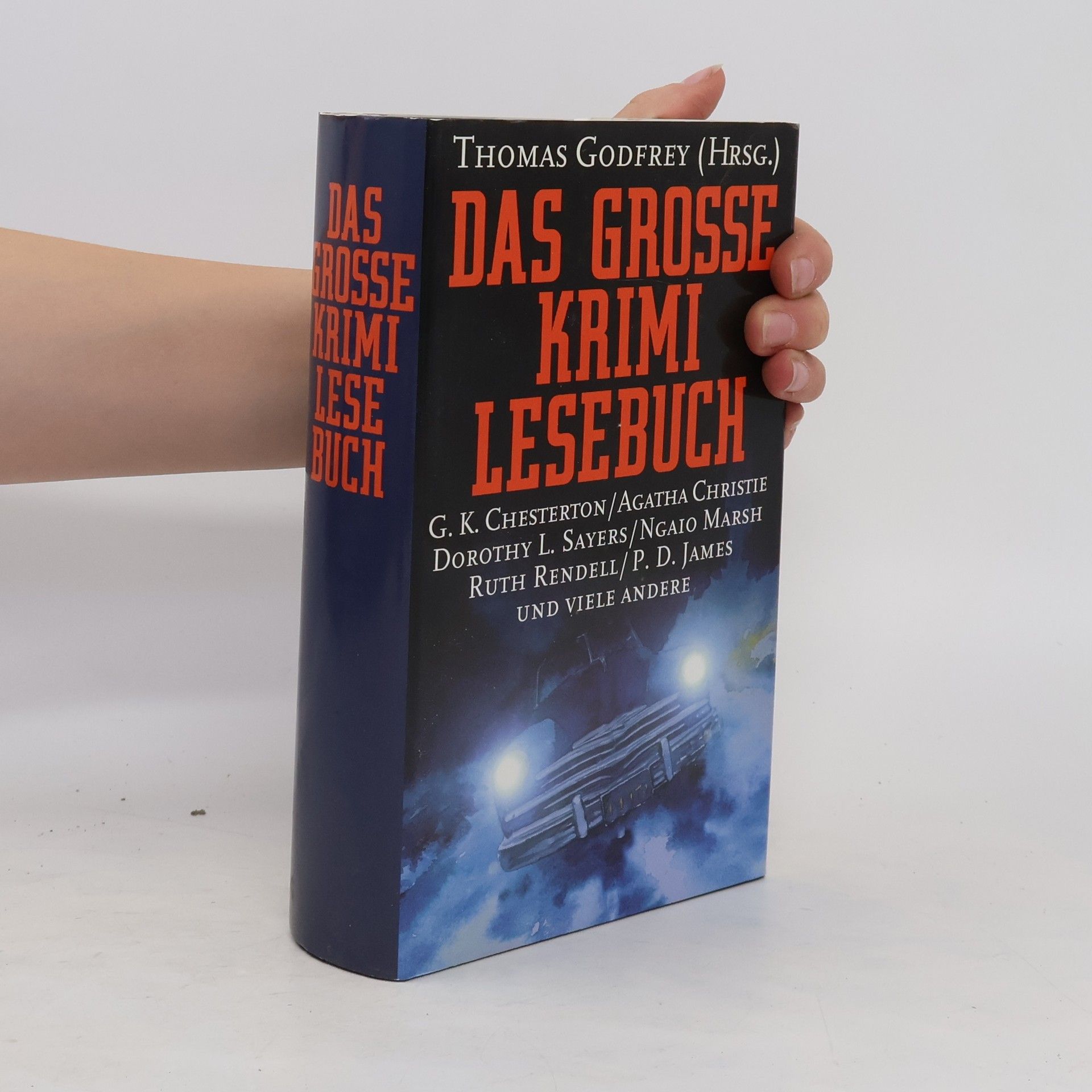 Das grosse krimi Lesebuch
