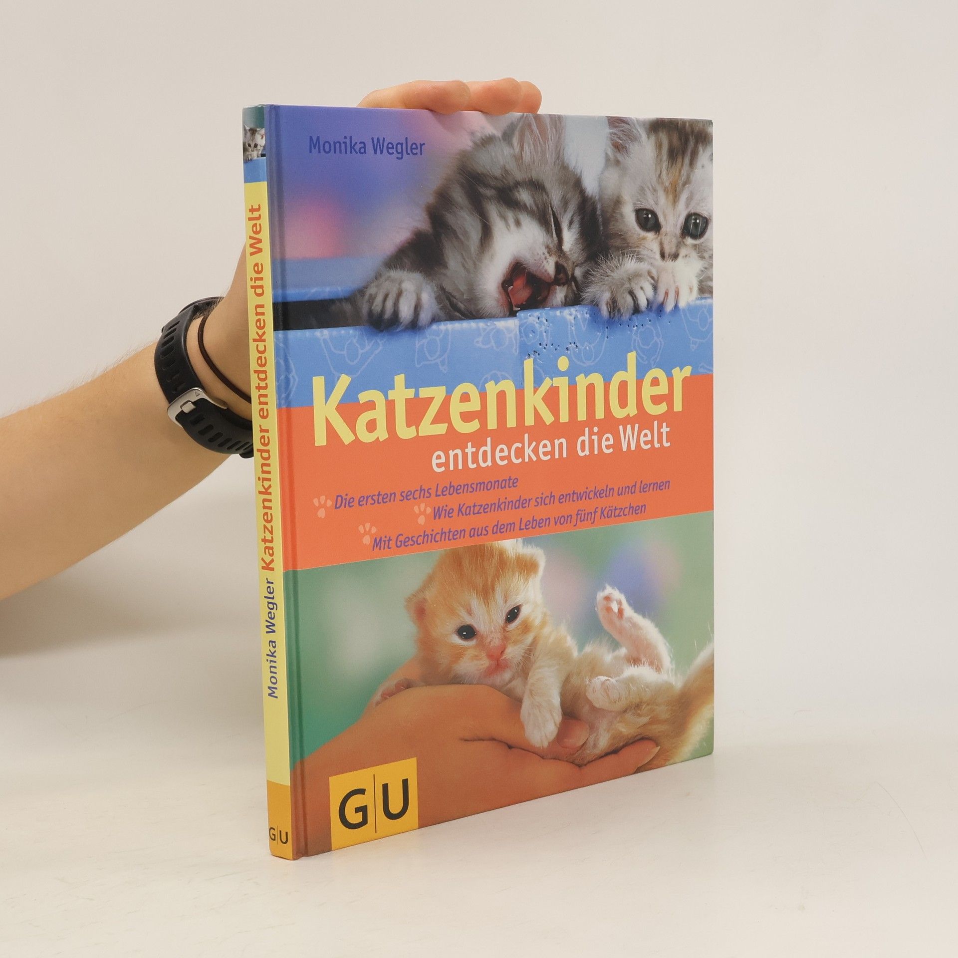 Monika Wegler Katzenkinder. entdecken die Welt