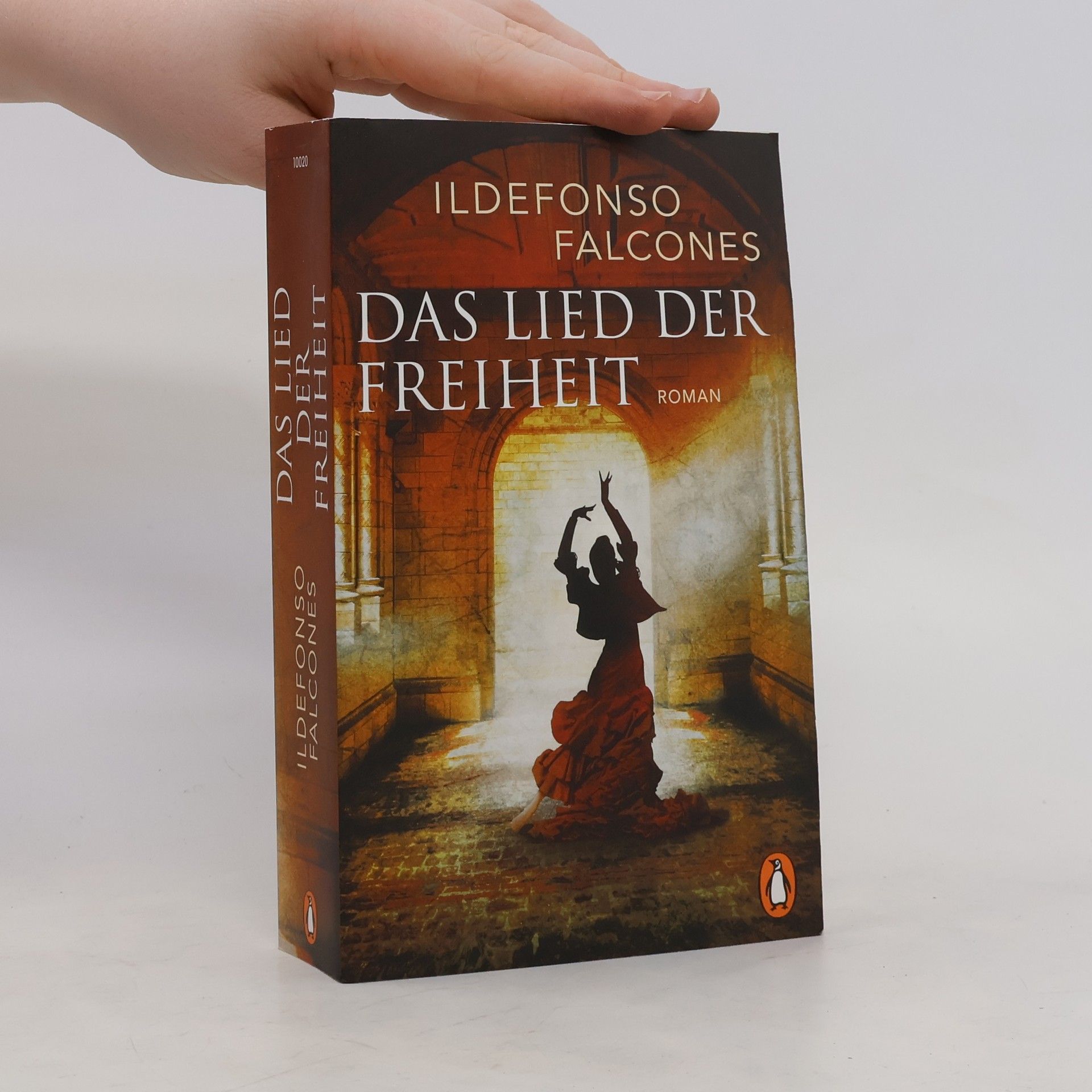 Ildefonso Falcones Das Lied der Freiheit