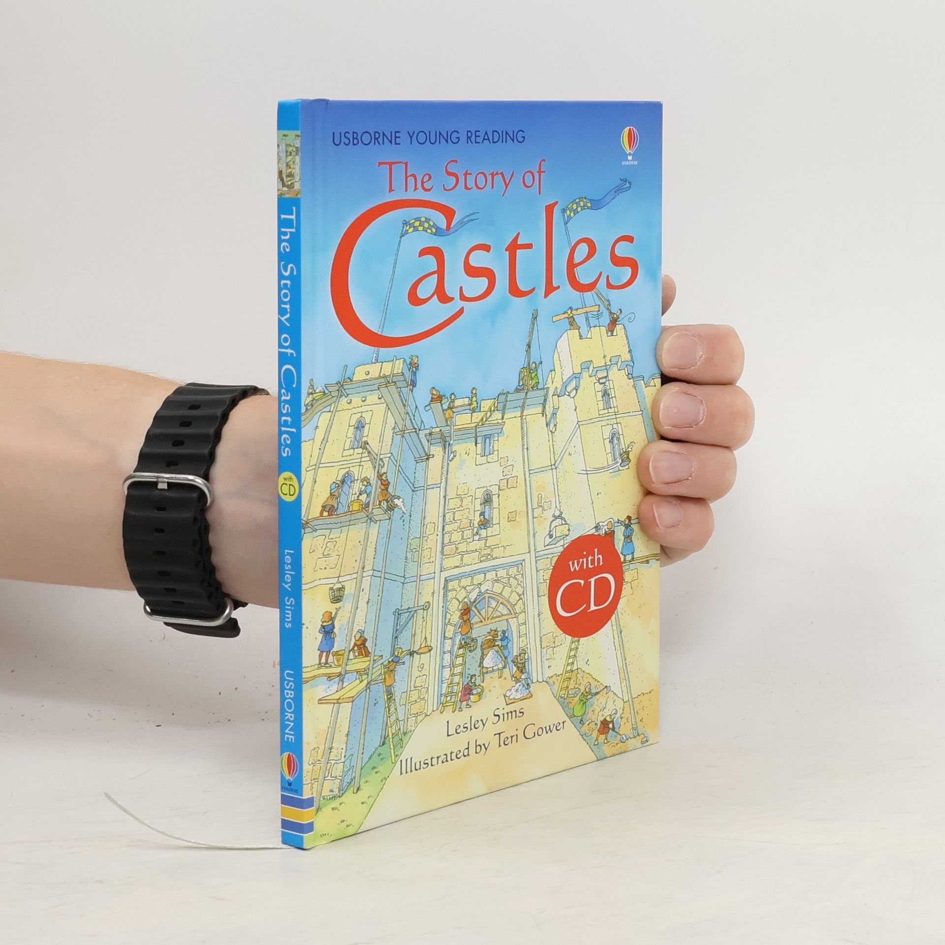 Teri Gower The story of castles