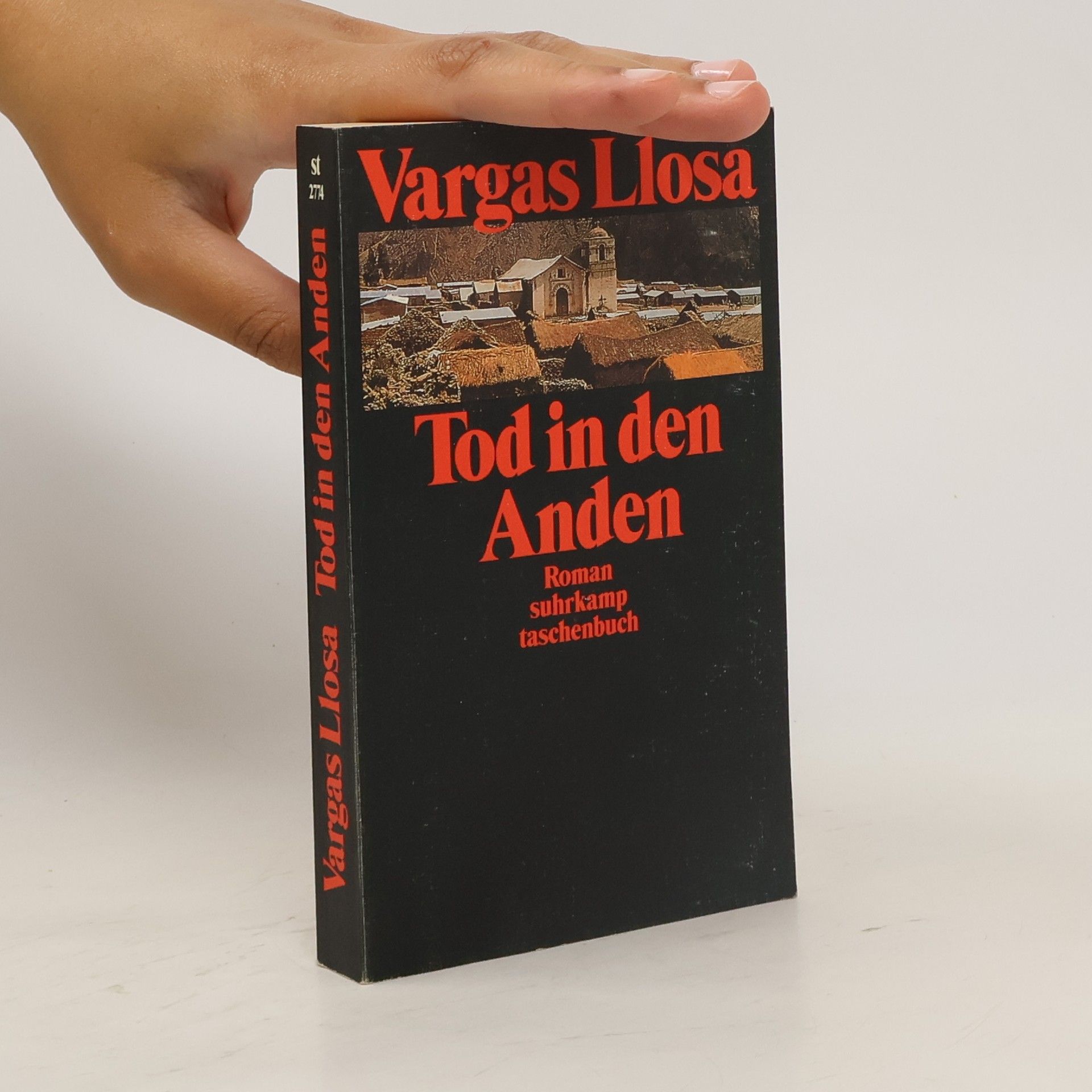 Mario Vargas Llosa Tod in den Anden