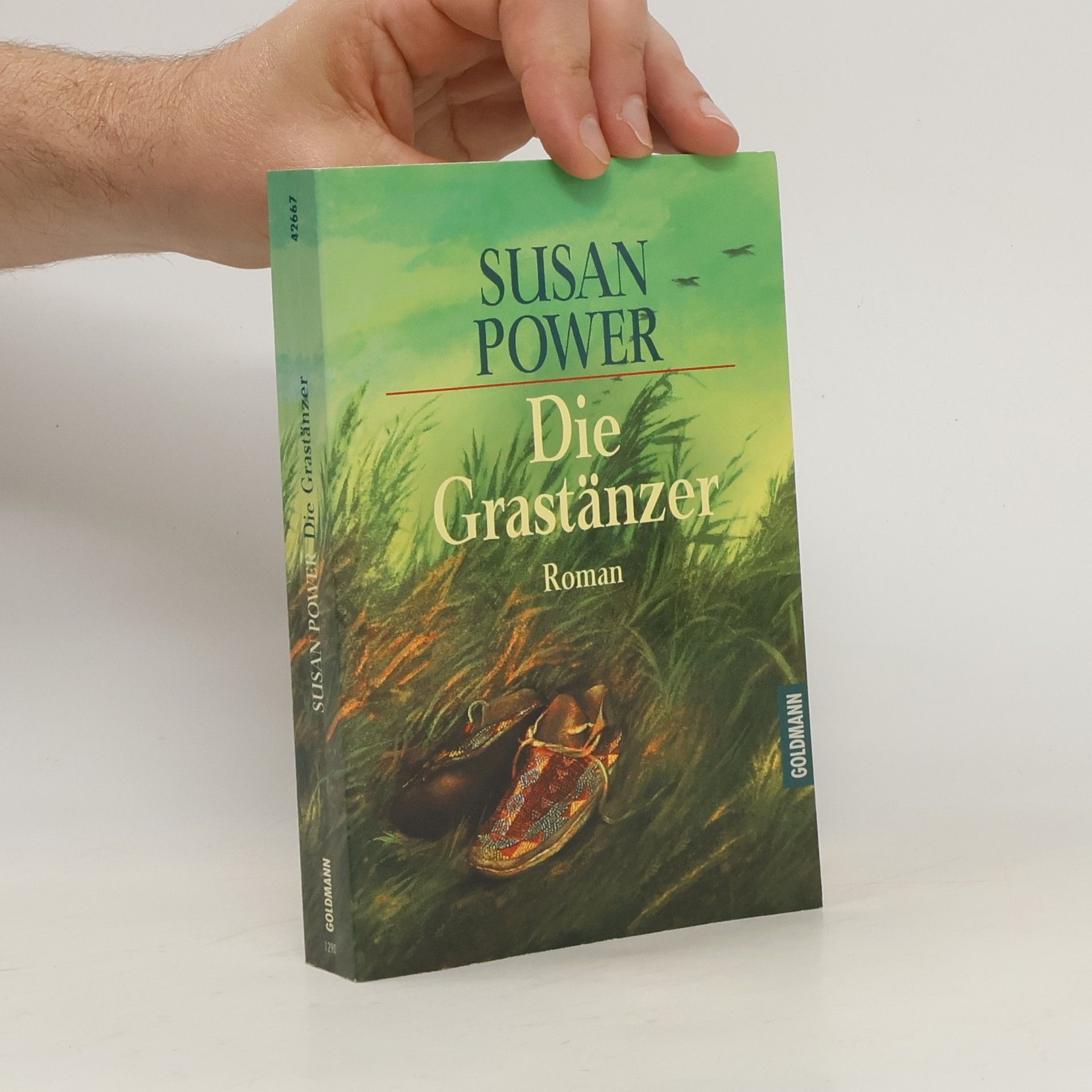 Susan Power Die Grastänzer