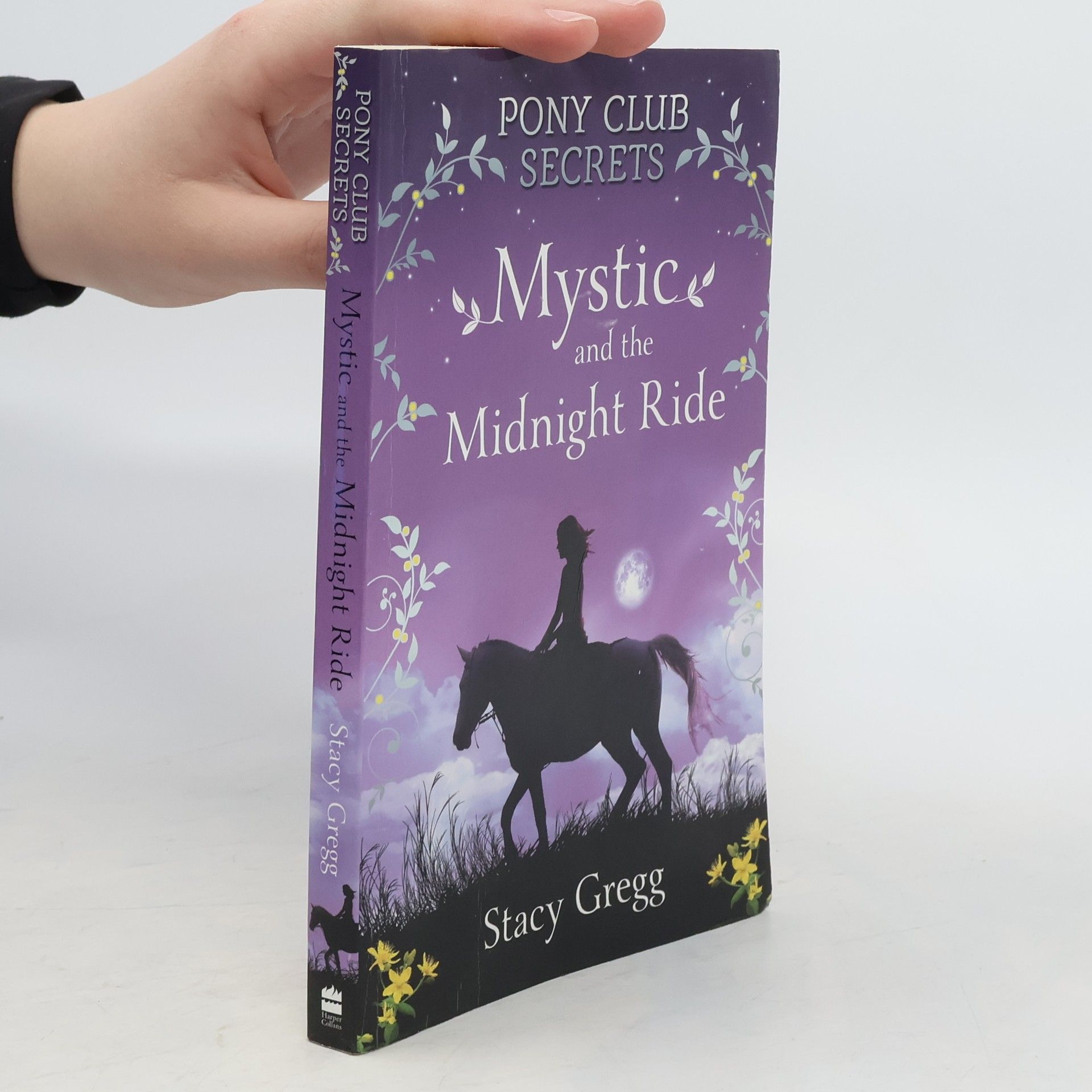 Stacy Gregg Mystic and the Midnight Ride