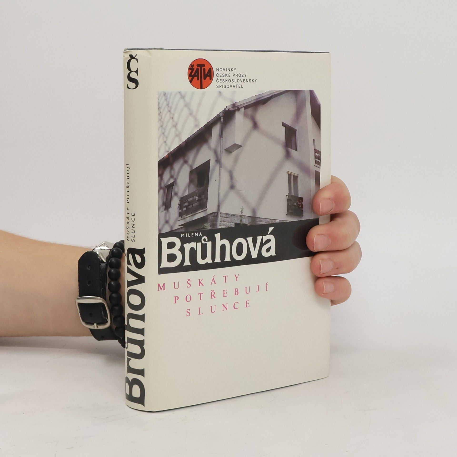 Milena Brůhová Muškáty potřebují slunce