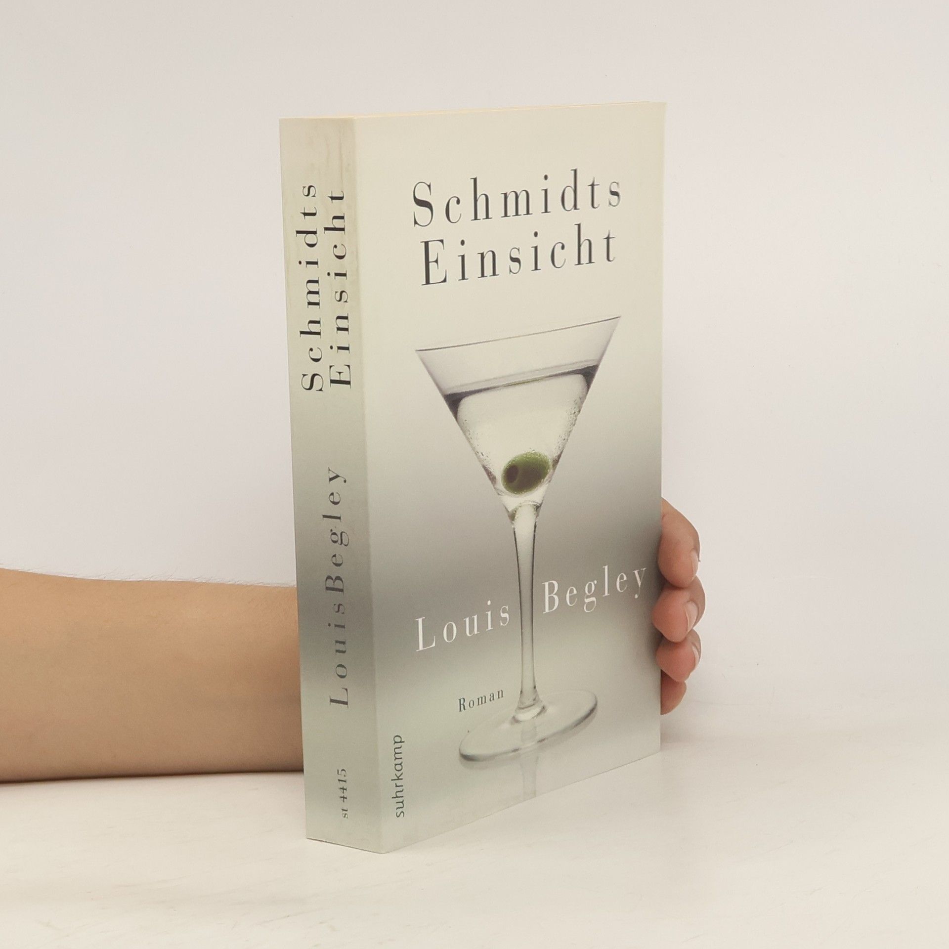 Louis Begley Schmidts Einsicht