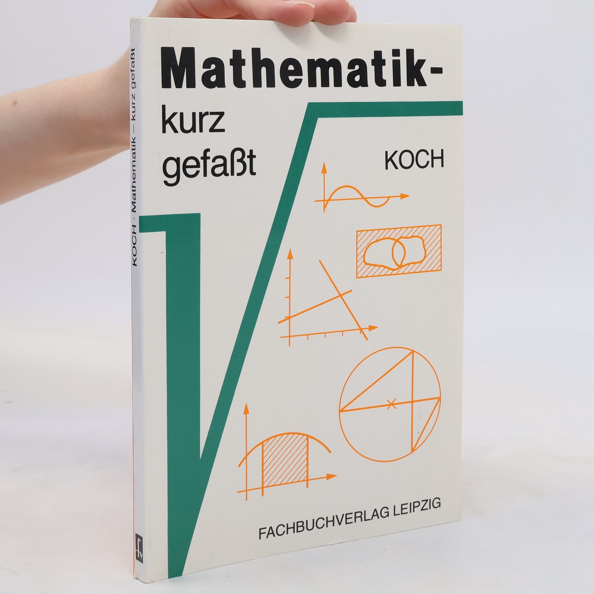 Steffen Koch Mathematik - kurz gefasst
