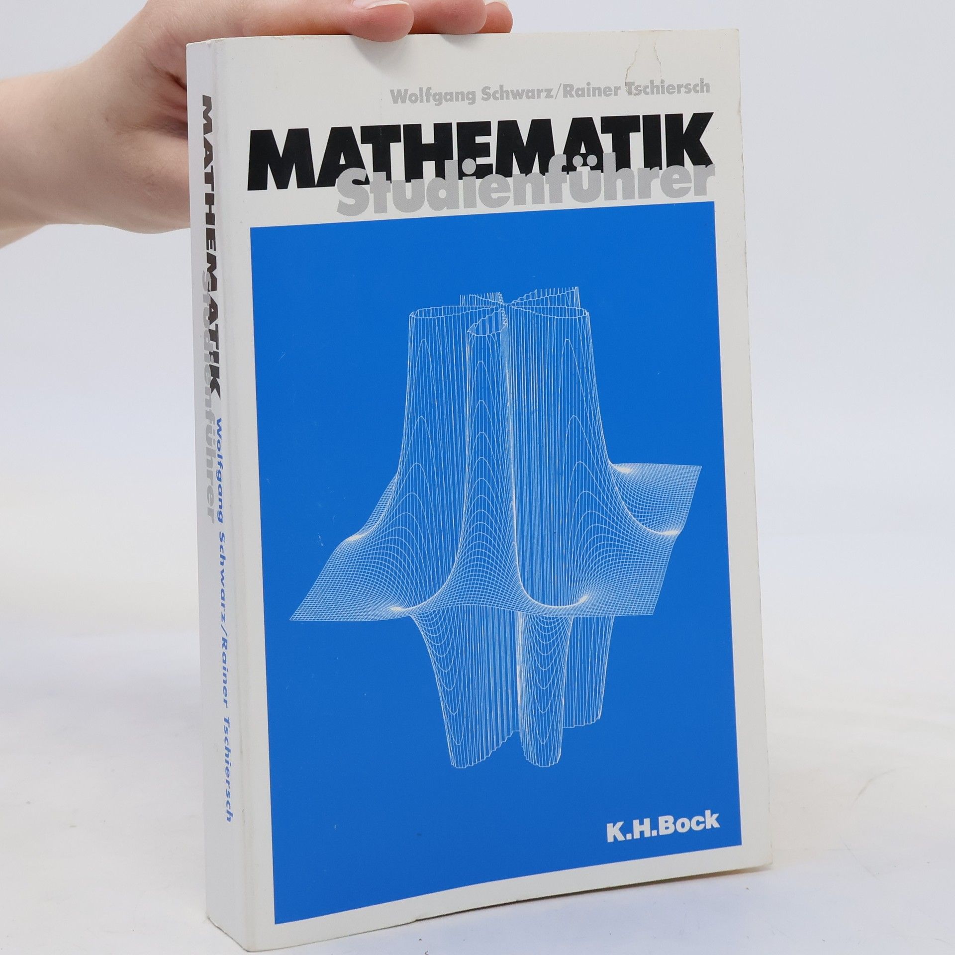 Wolfgang Schwarz Mathematik-Studienführer