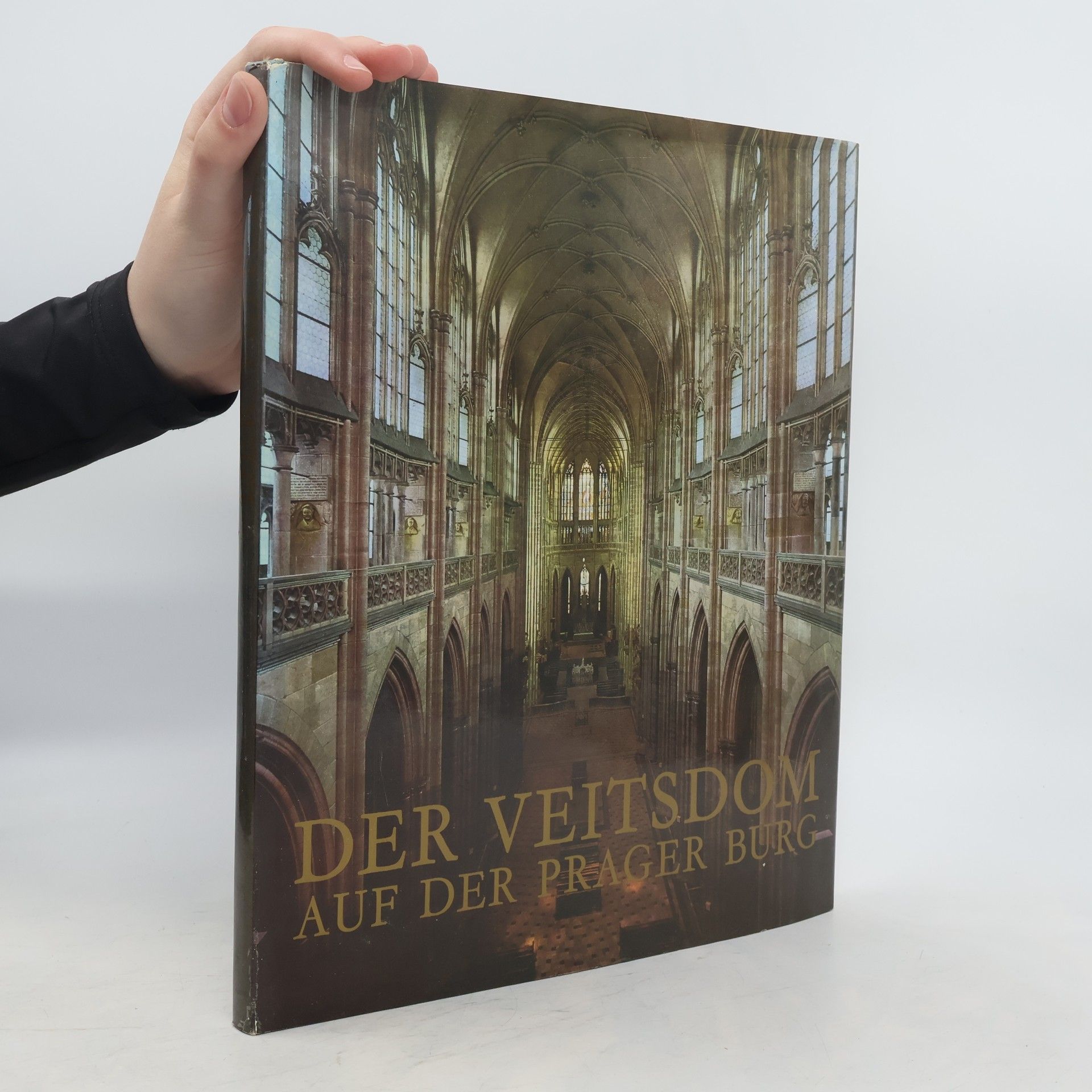 Jiří Burian Der Veitsdom auf der Prager Burg