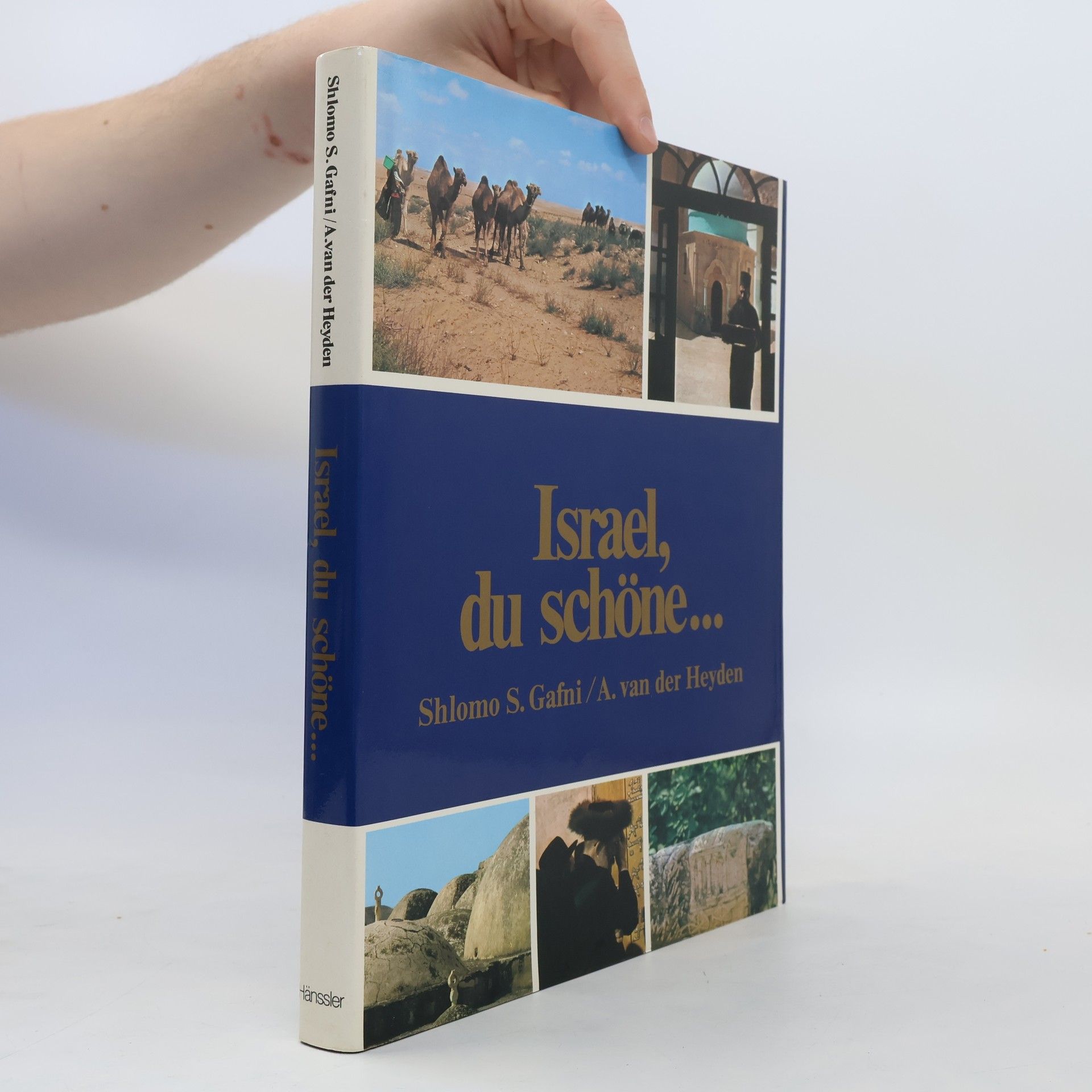 Shlomo S. Gafni Israel, du schöne ...