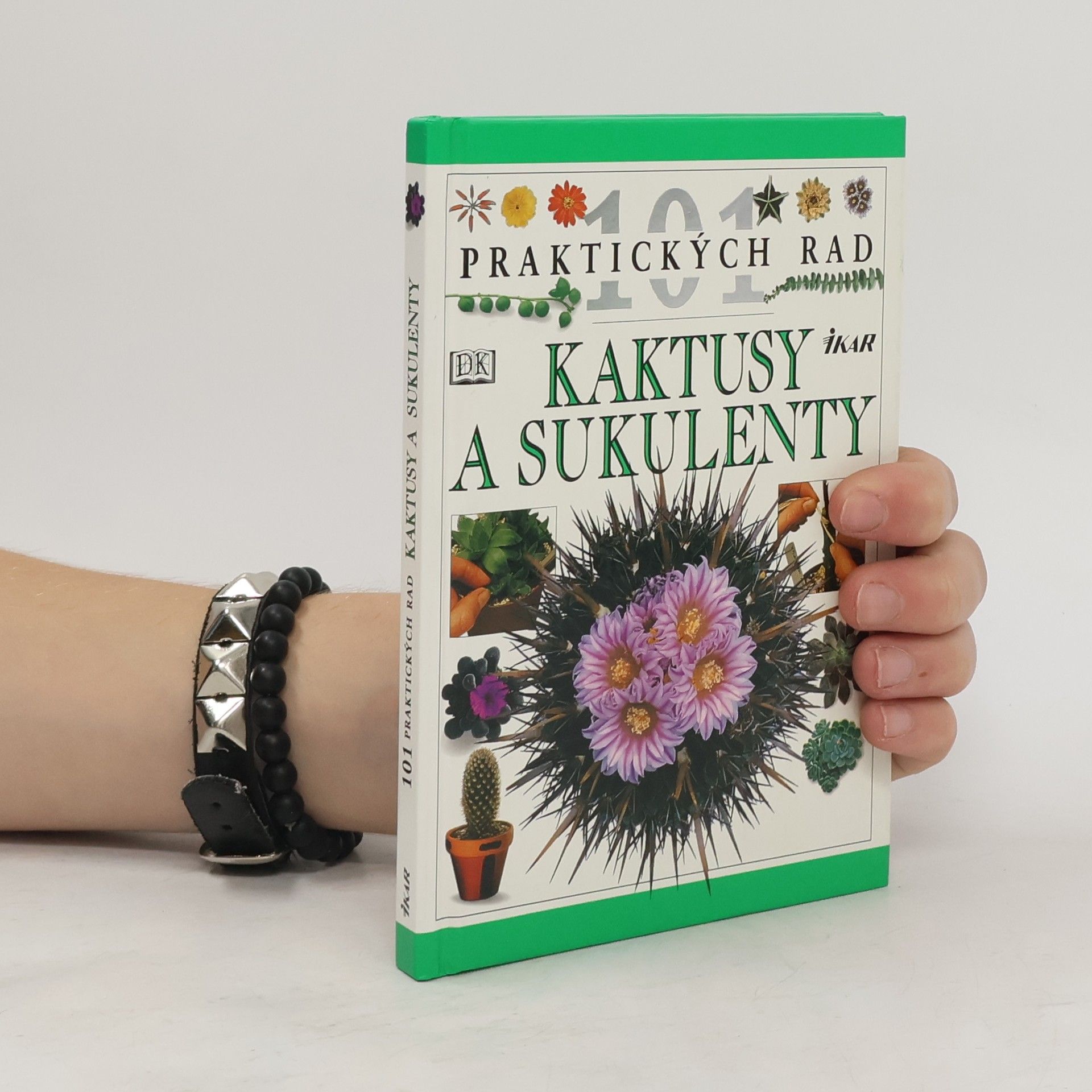 Hewitt Terry Kaktusy a sukulenty