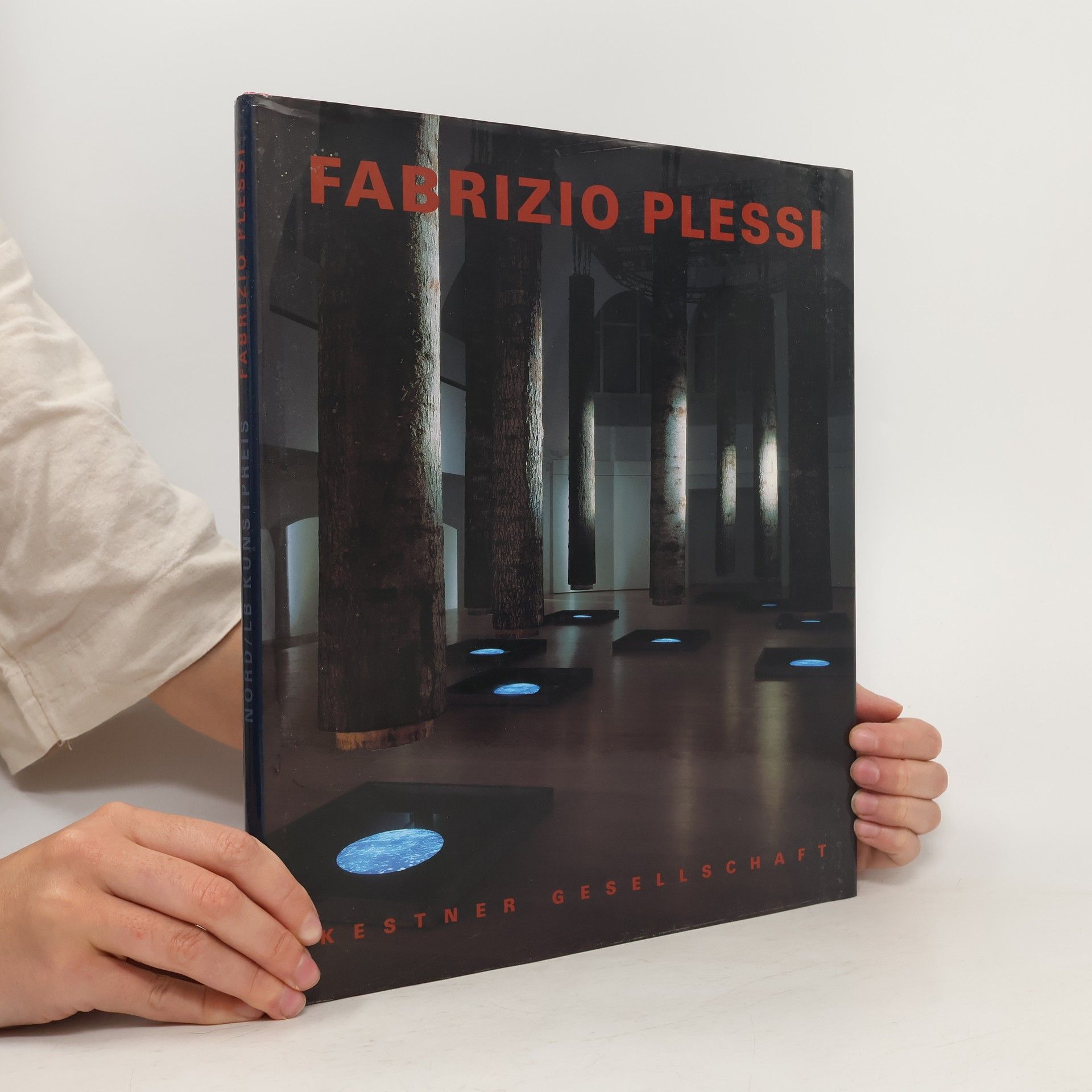 Collectif d'auteurs Fabrizio Plessi. Der hängende Wald