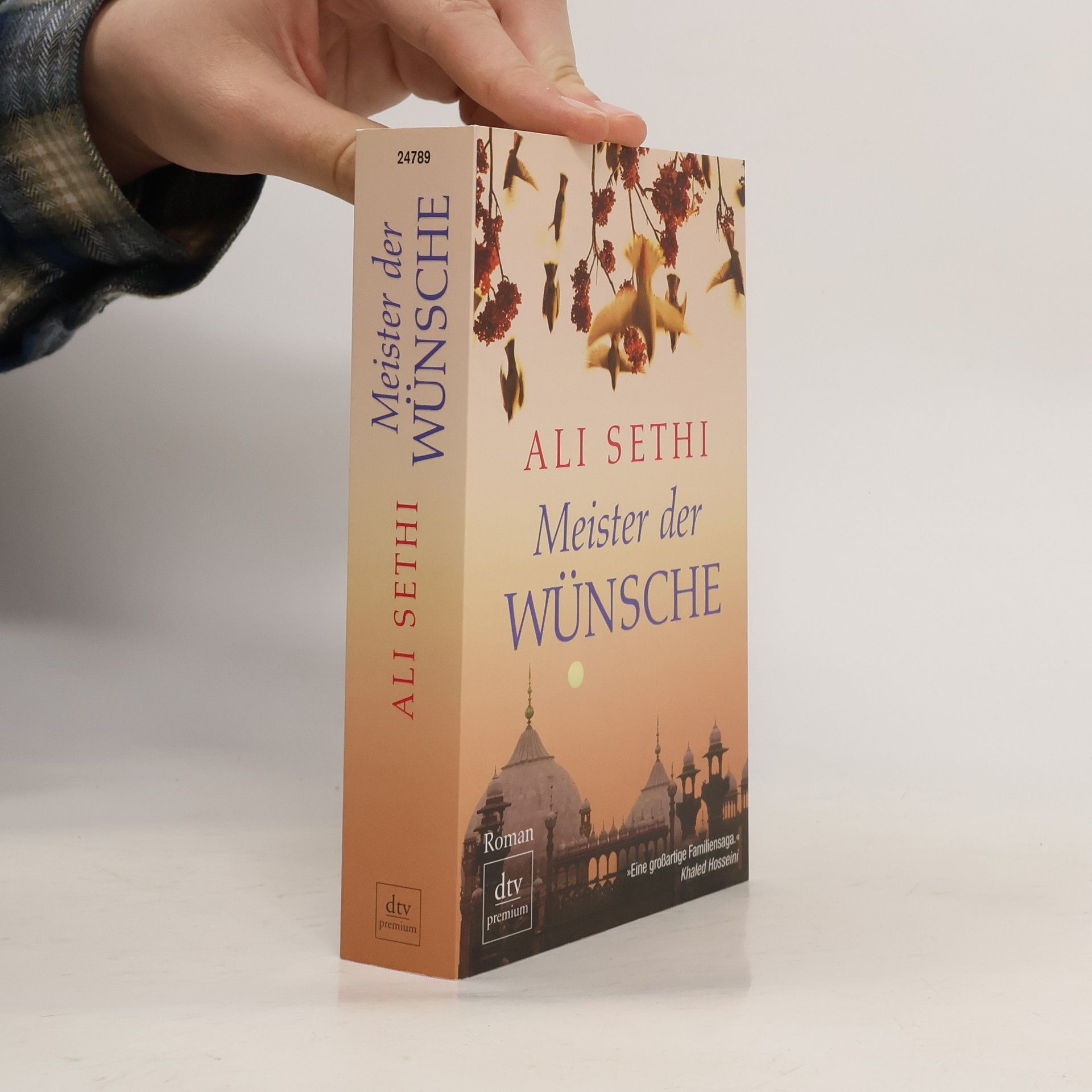 Ali Sethi Meister der Wünsche