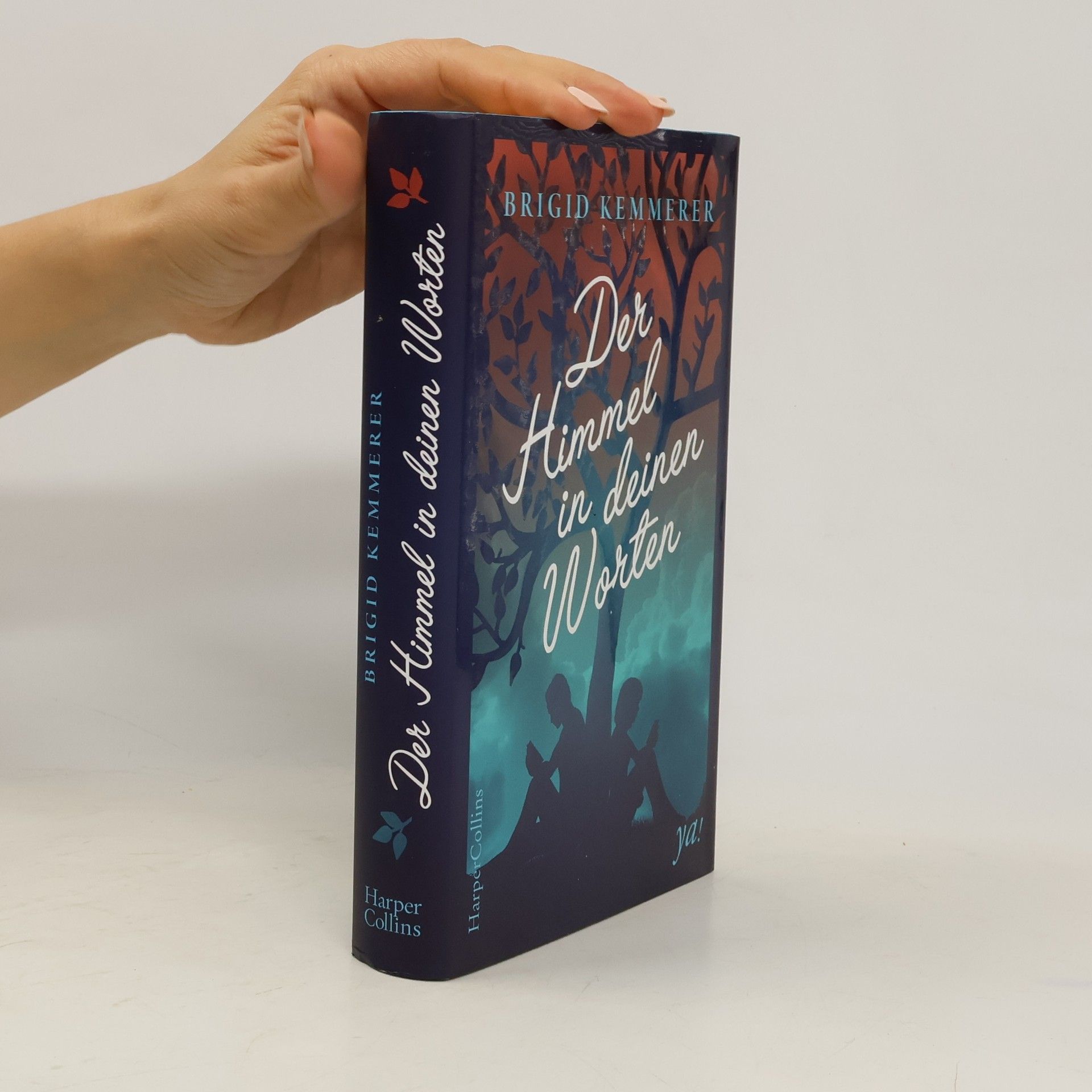 Brigid Kemmerer Der Himmel in deinen Worten