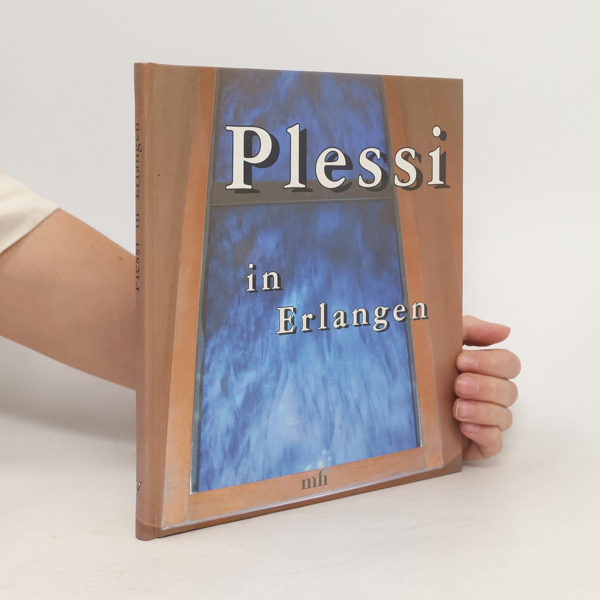 Hajo Dietz Plessi in Erlangen