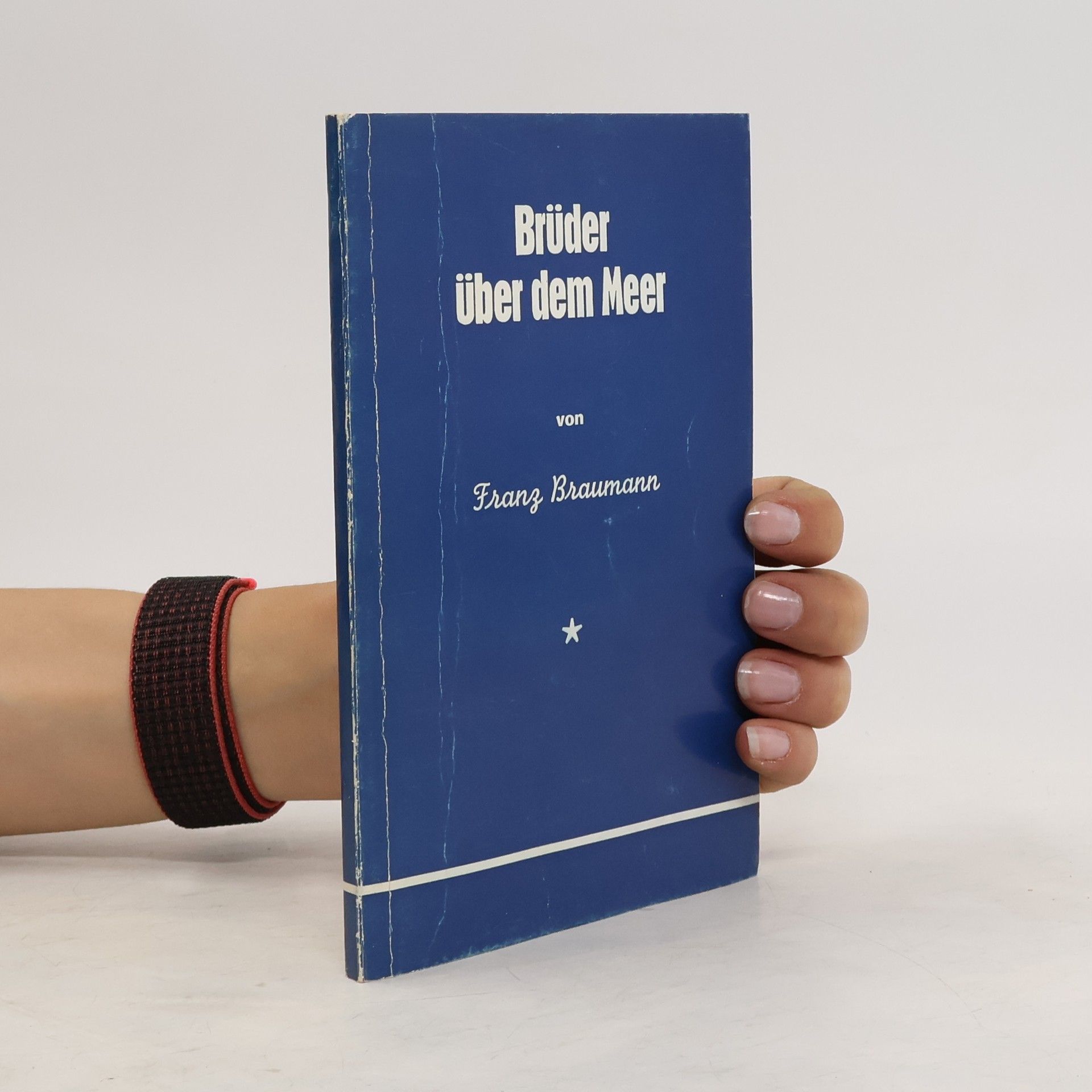 Franz Braumann Brüder über dem Meer