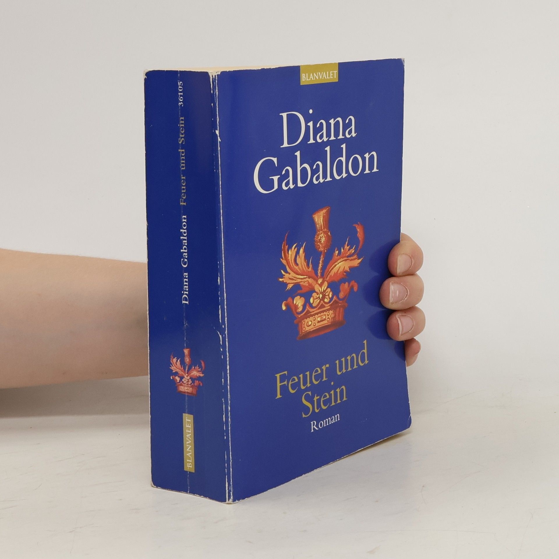 Diana Gabaldon Feuer und Stein