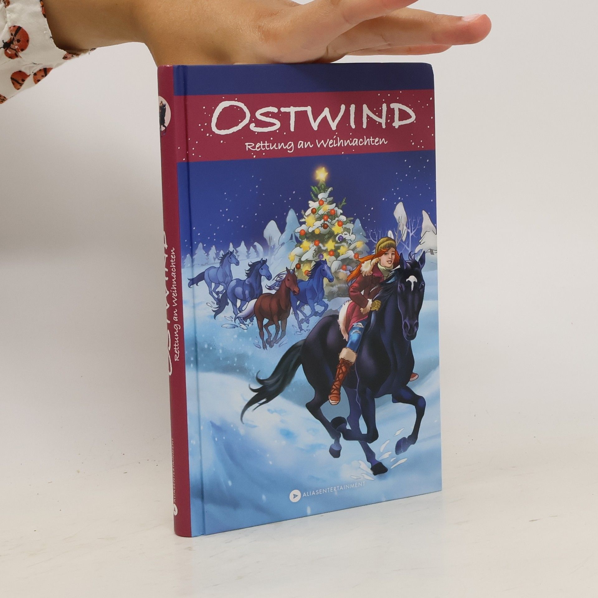 Schwarz Rosa Ostwind - Rettung an Weihnachten