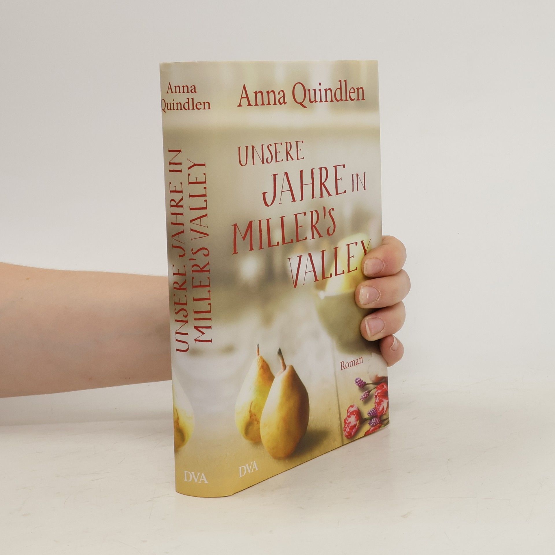Anna Quindlen Unsere Jahre in Miller's Valley