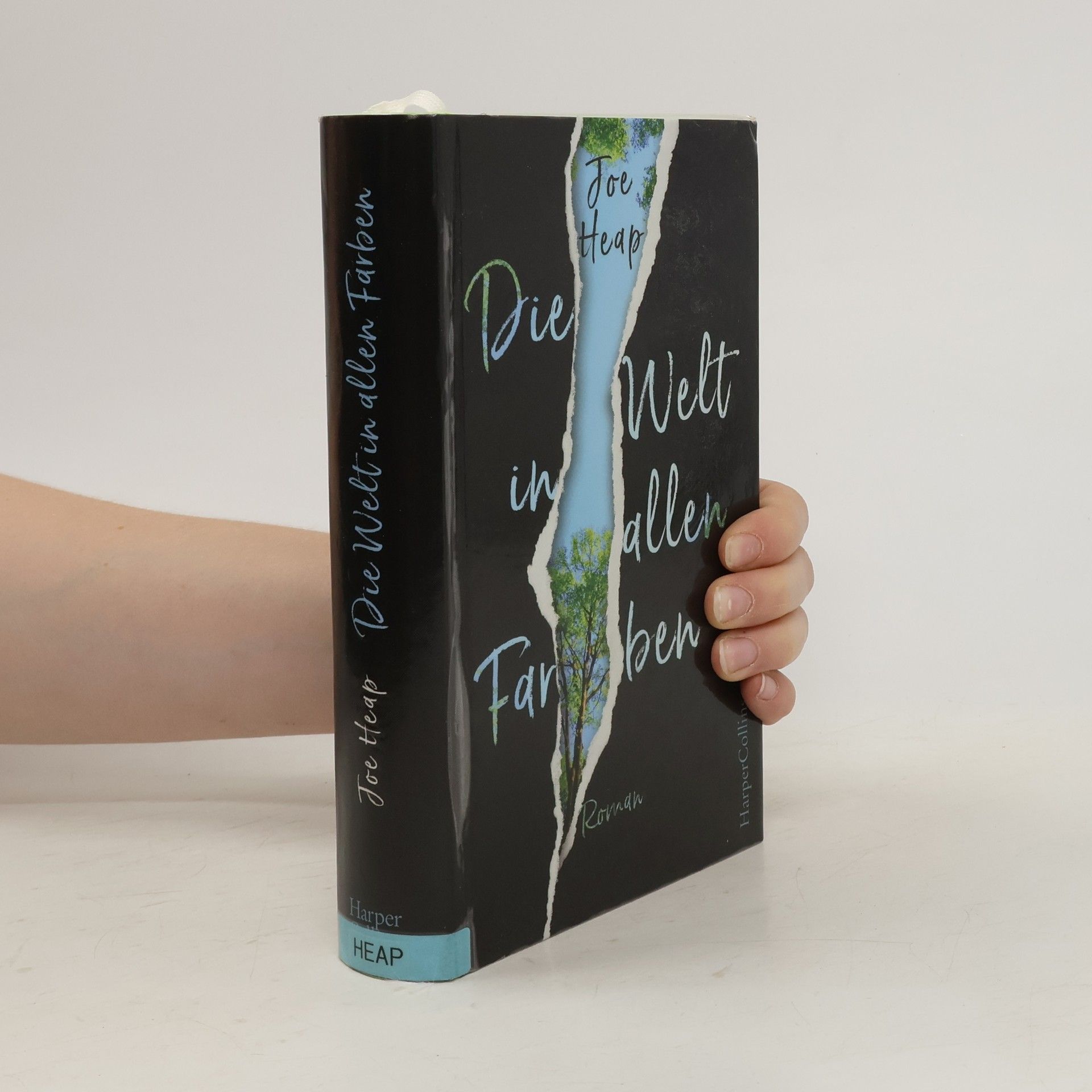 Joe Heap Die Welt in allen Farben