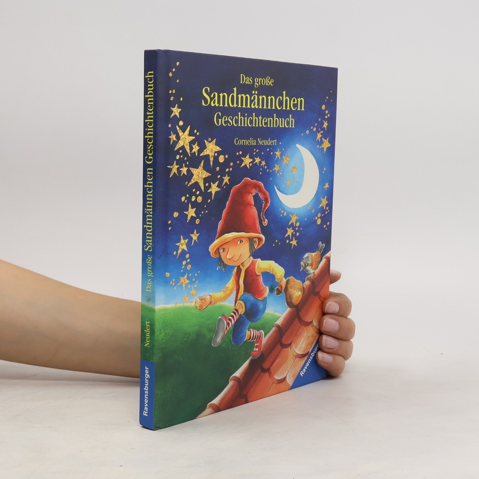 Cee Neudert Das große Sandmännchen-Geschichtenbuch erzählt von einem Hund, einer Katze, einem Mäuserich, einer Flohdame und einem Spatz