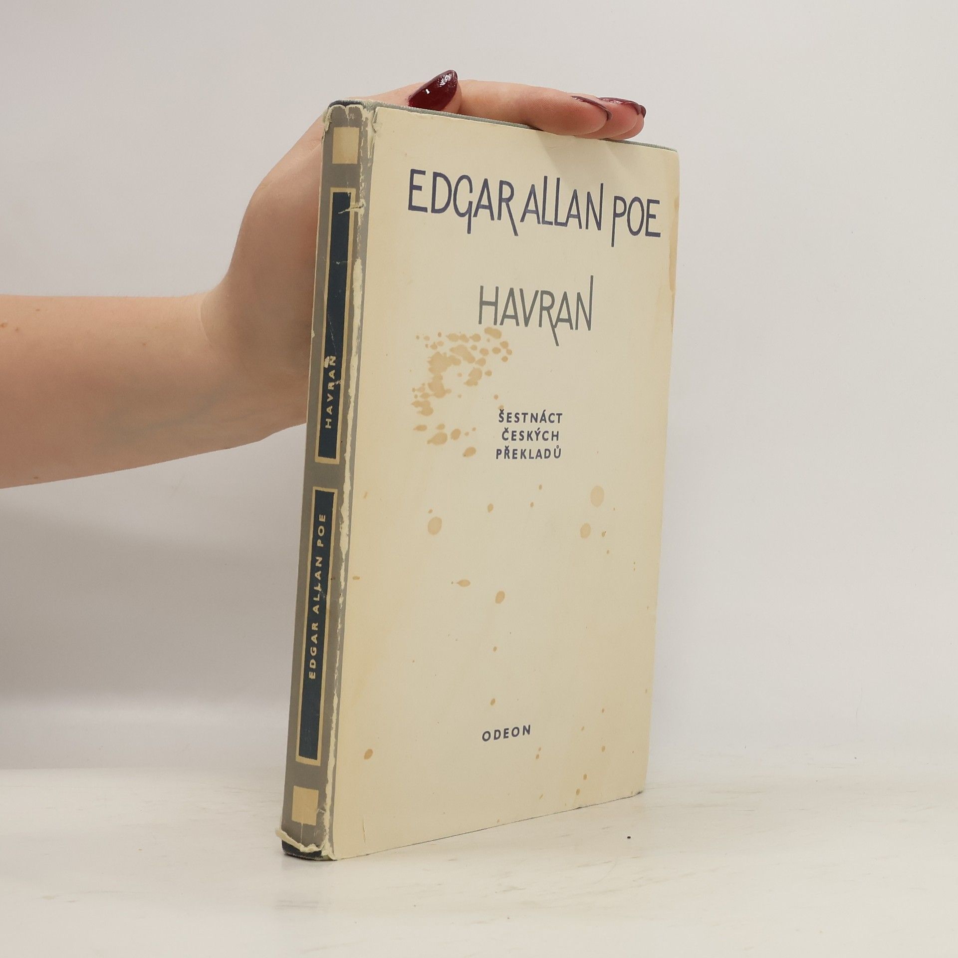 Edgar Allan Poe Havran