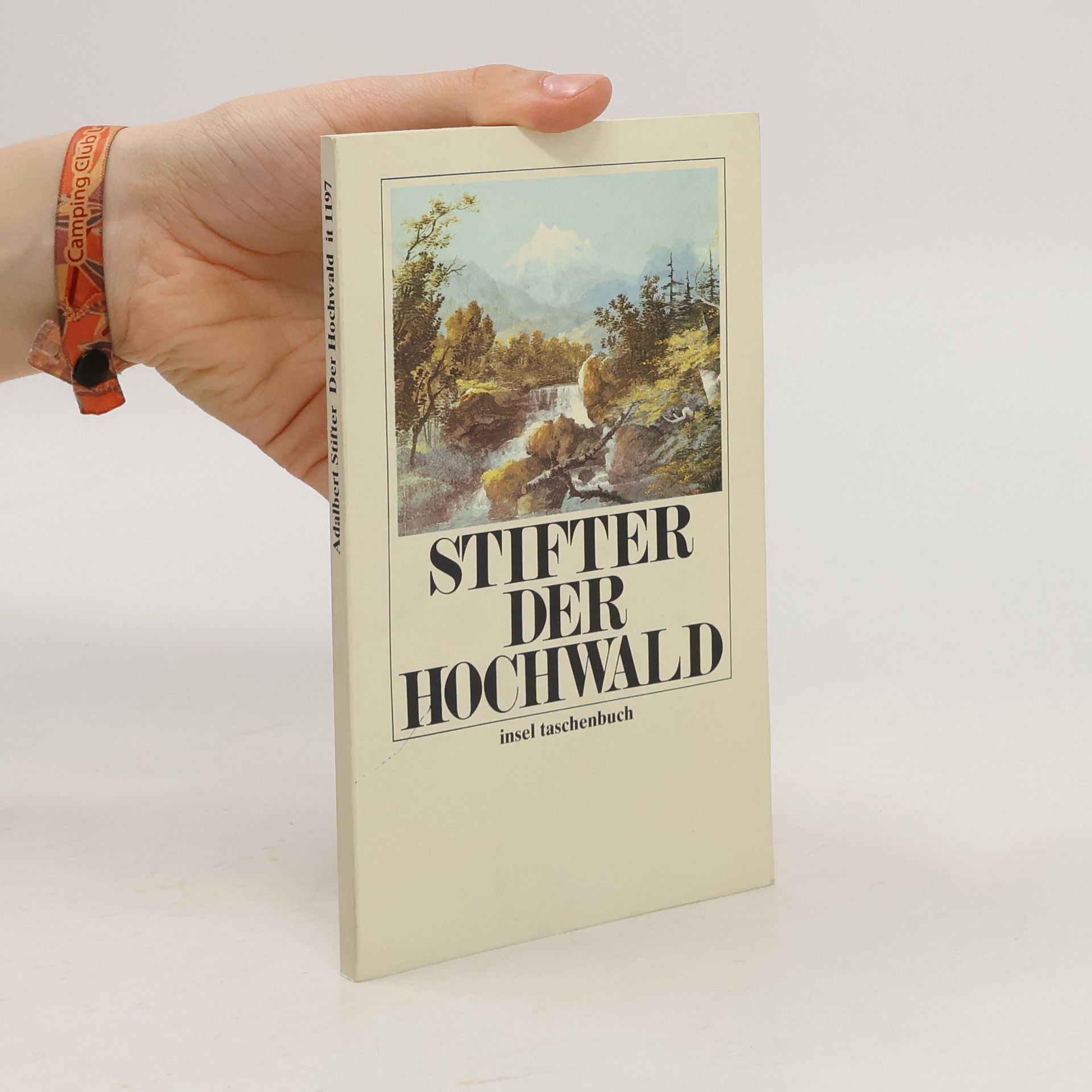 Adalbert Stifter Der Hochwald