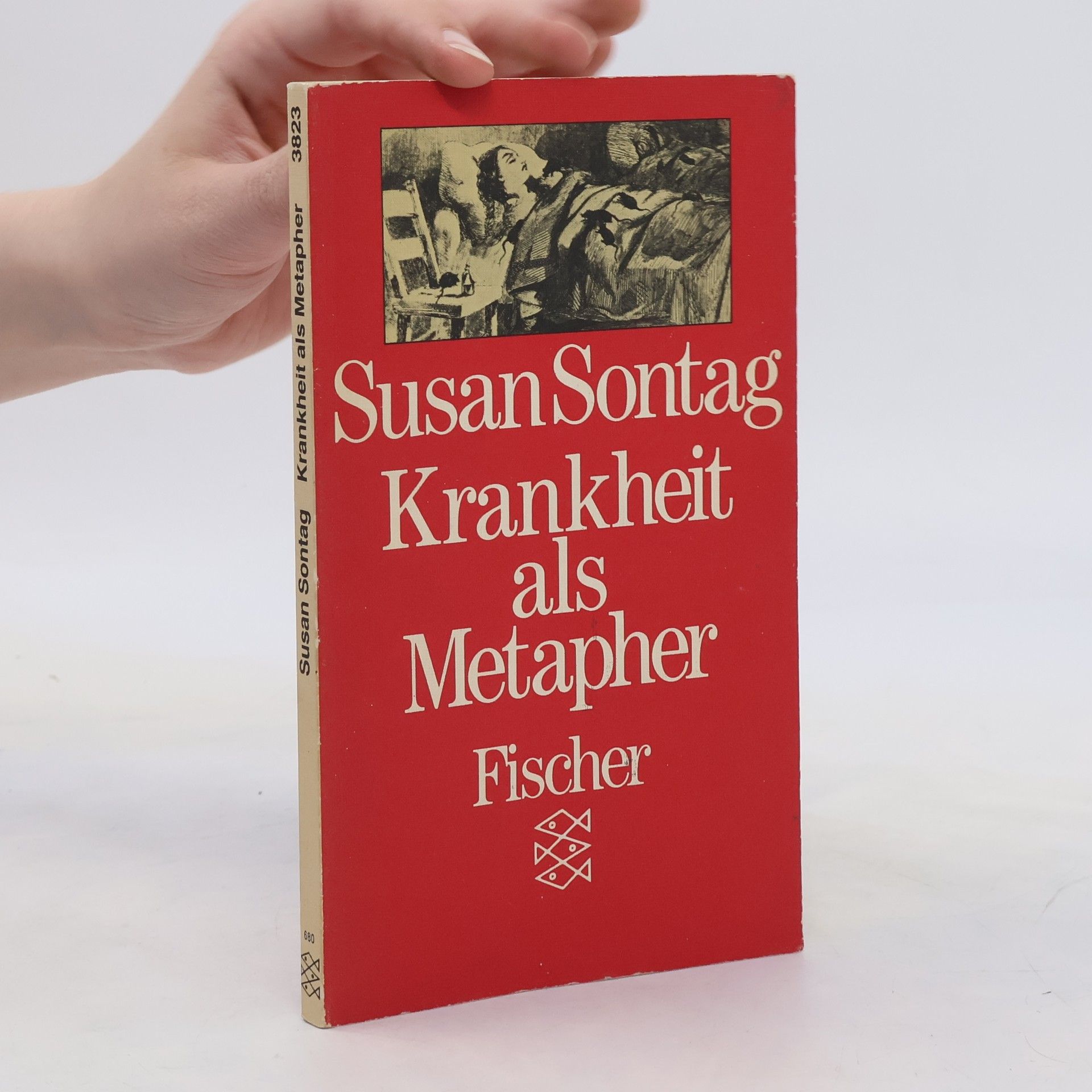 Susan Sontag Krankheit als Metapher