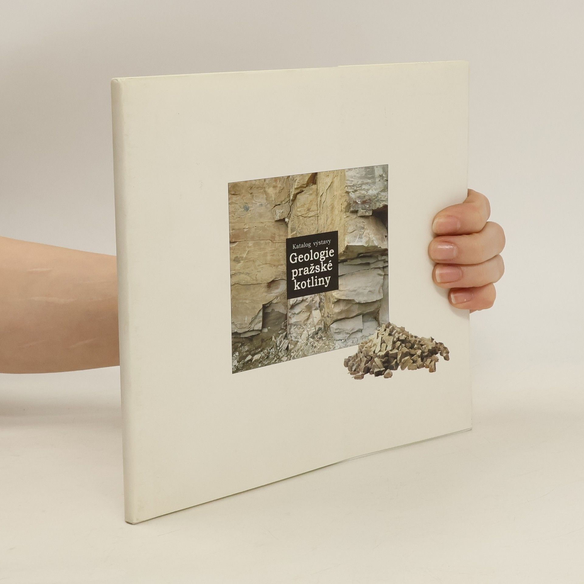 Collectif d'auteurs Geologie pražské kotliny
