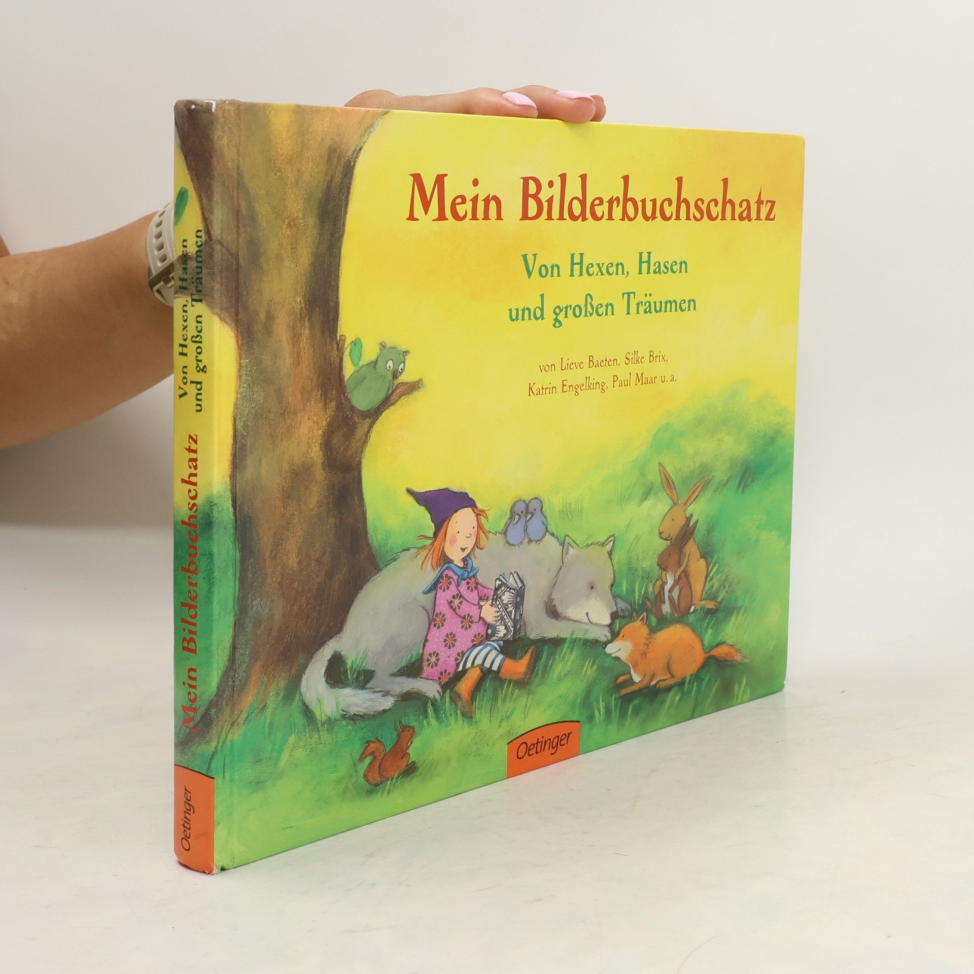 Lieve Baeten Mein Bilderbuchschatz