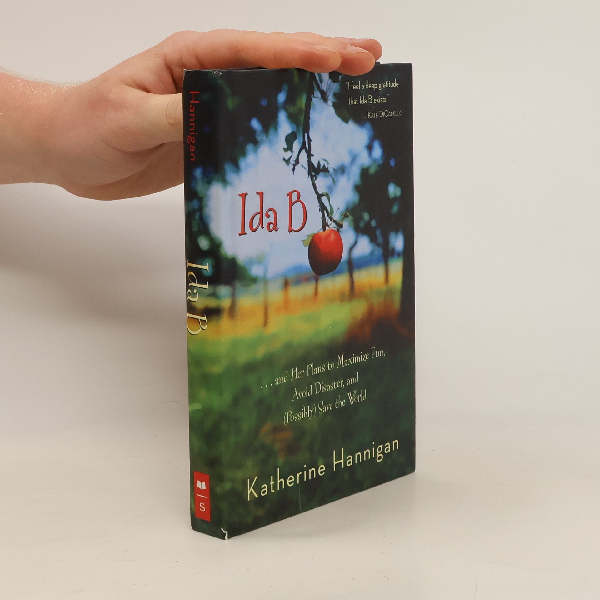 Katherine Hannigan Ida B
