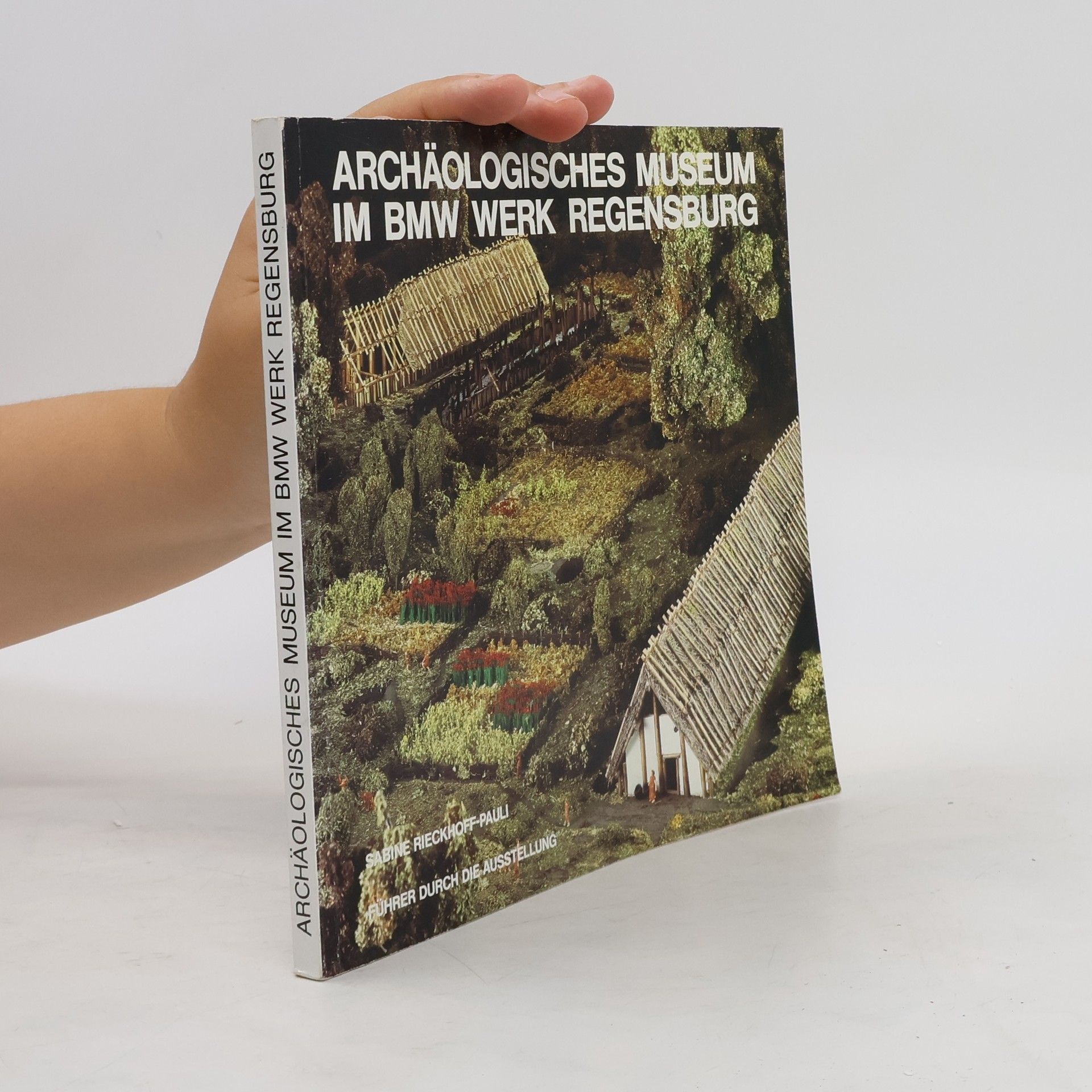 Sabine Rieckhoff Archäologisches Museum im BMW-Werk Regensburg