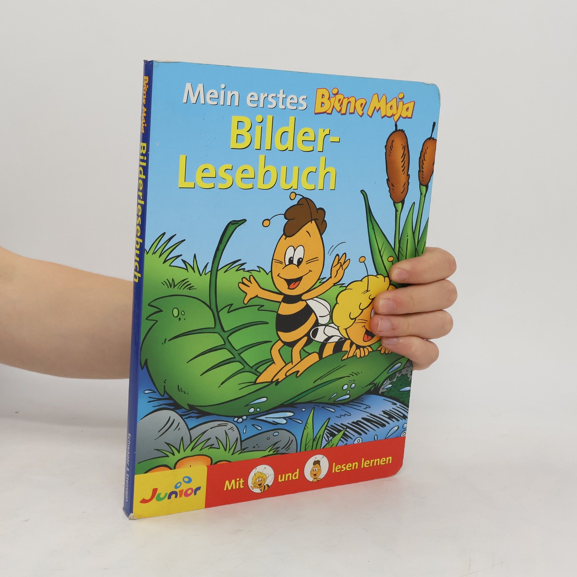 Collectif d'auteurs Mein erstes Biene Maja. Bilder-Lesebuch