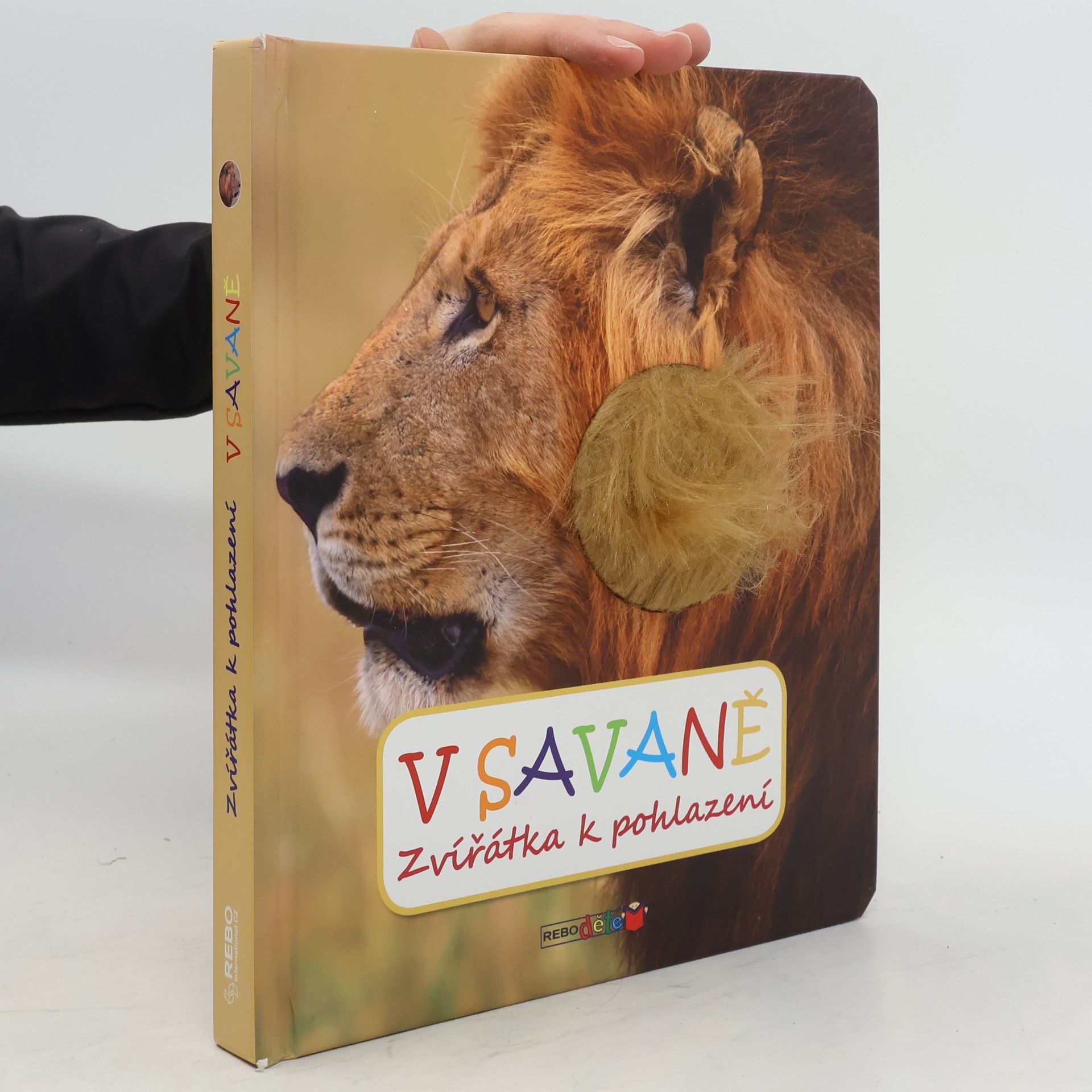 kolektiv V savaně