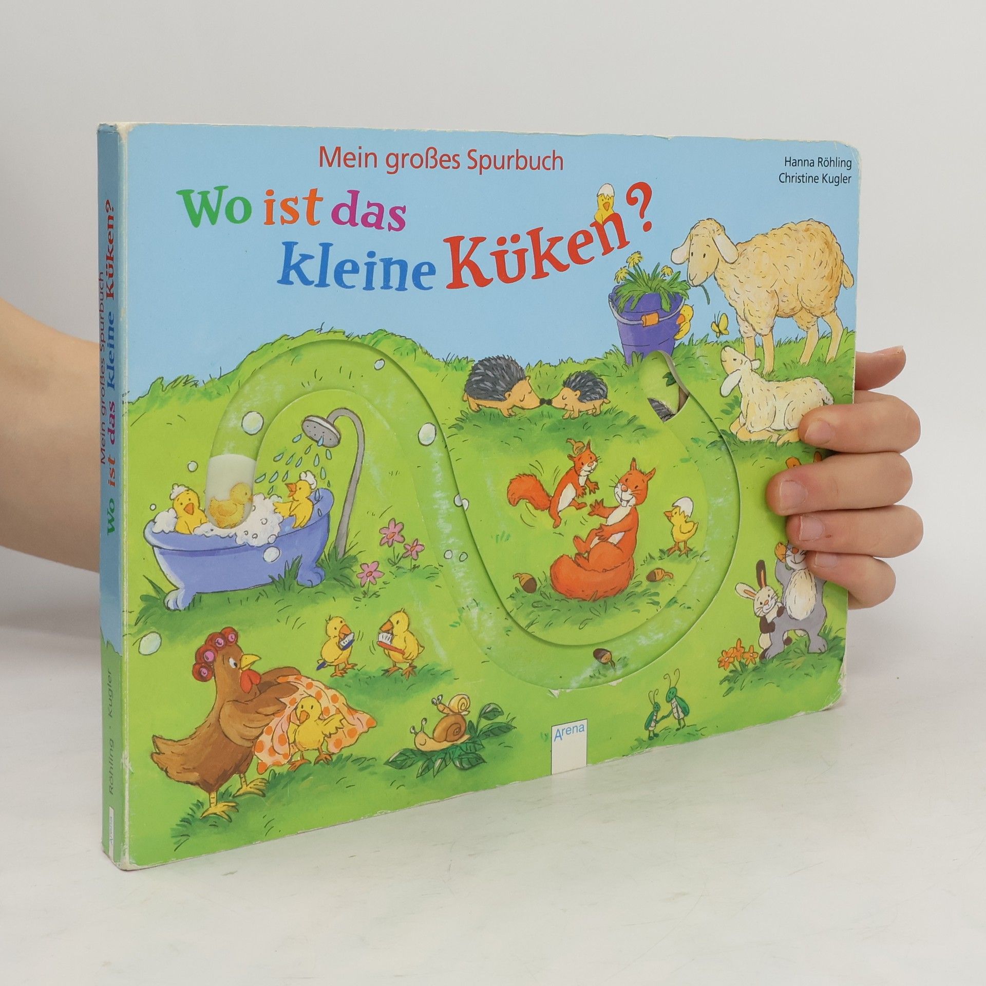 Hanna Röhling Mein großes Spurbuch - wo ist das kleine Küken?