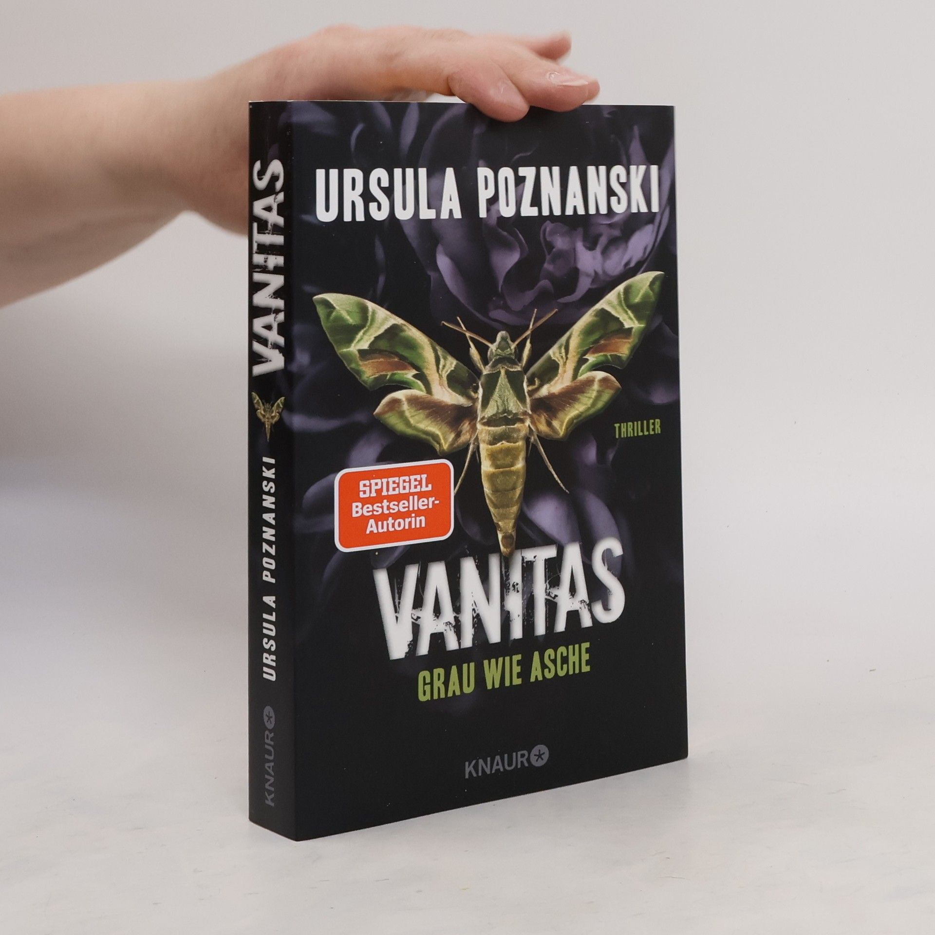 Ursula Poznanski Vanitas. Grau wie Asche