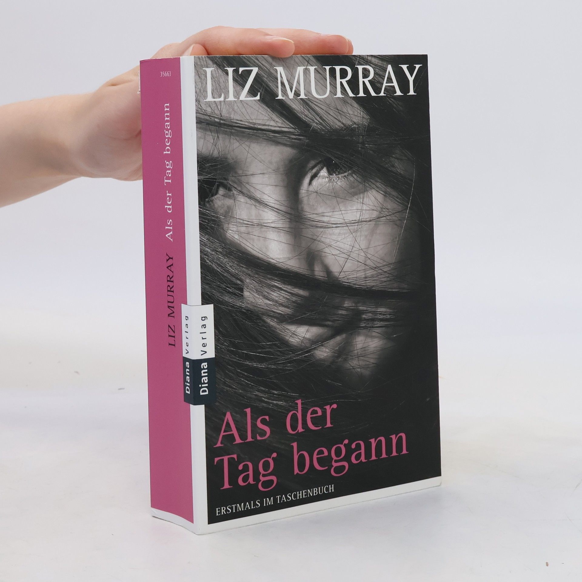 Liz Murray Als der Tag begann
