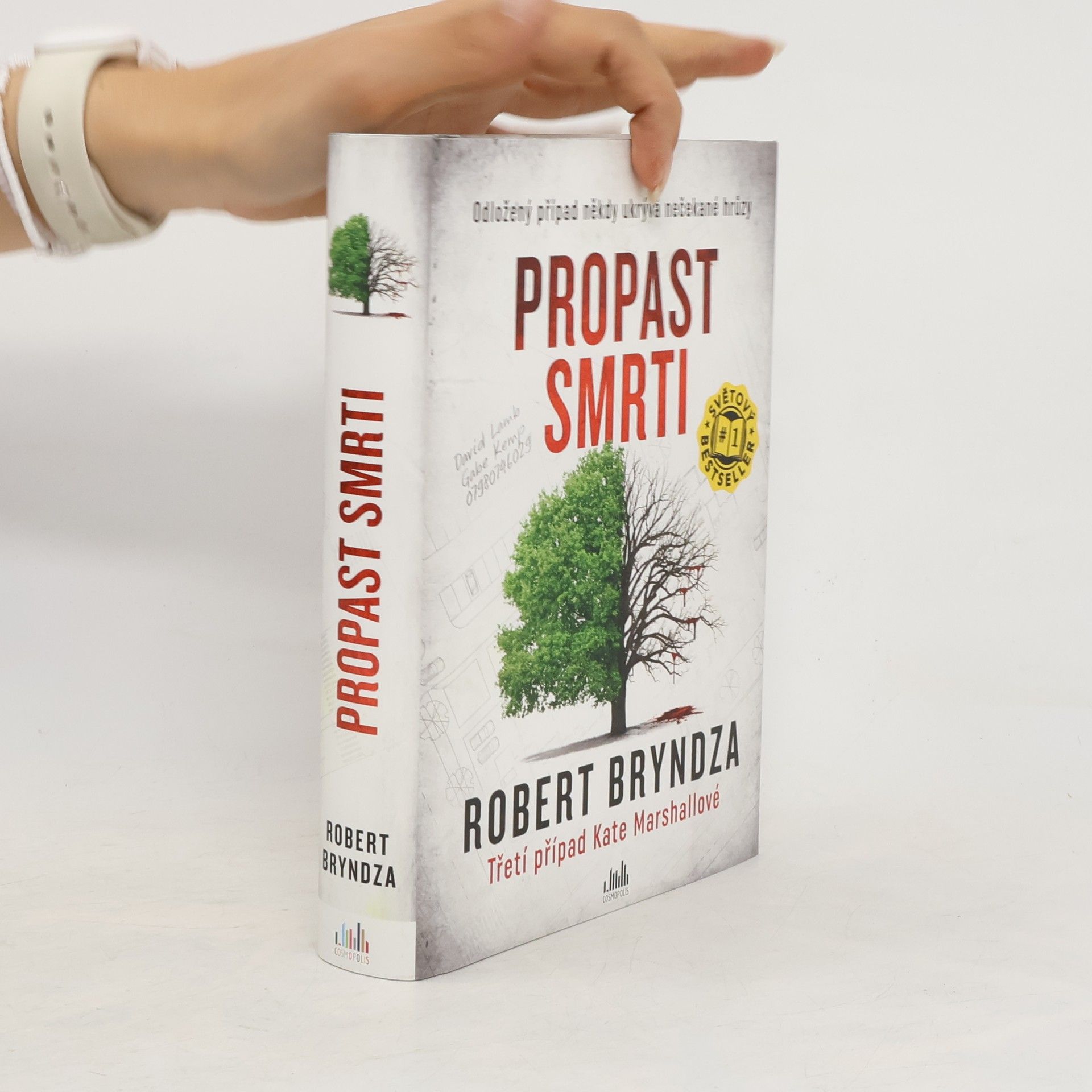 Robert Bryndza Propast smrti
