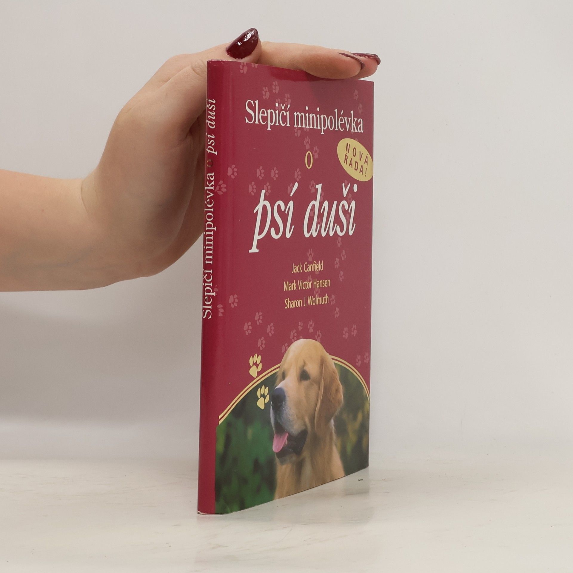 Jack Canfield Slepičí minipolévka o psí duši