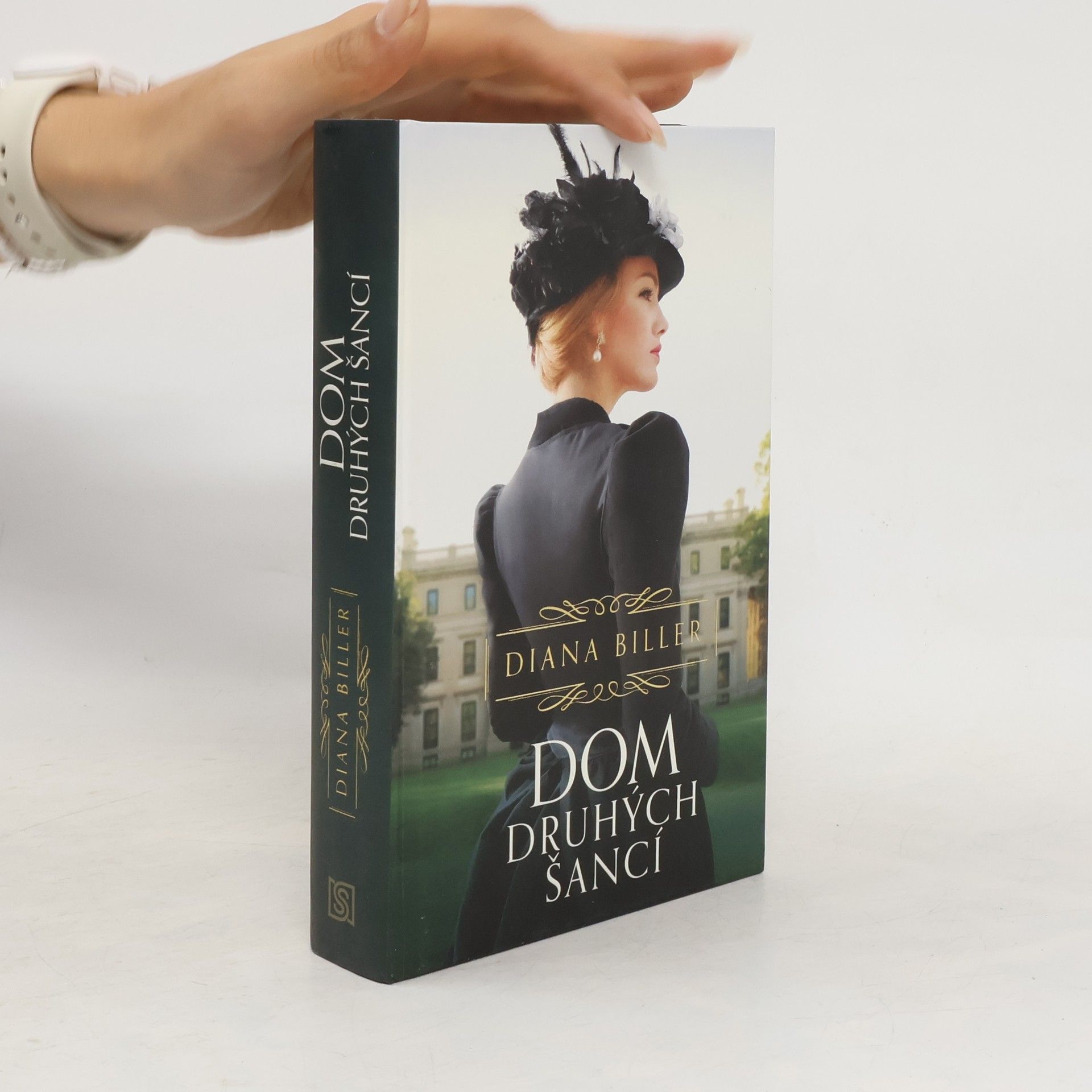 Diana Biller Dom druhých šancí