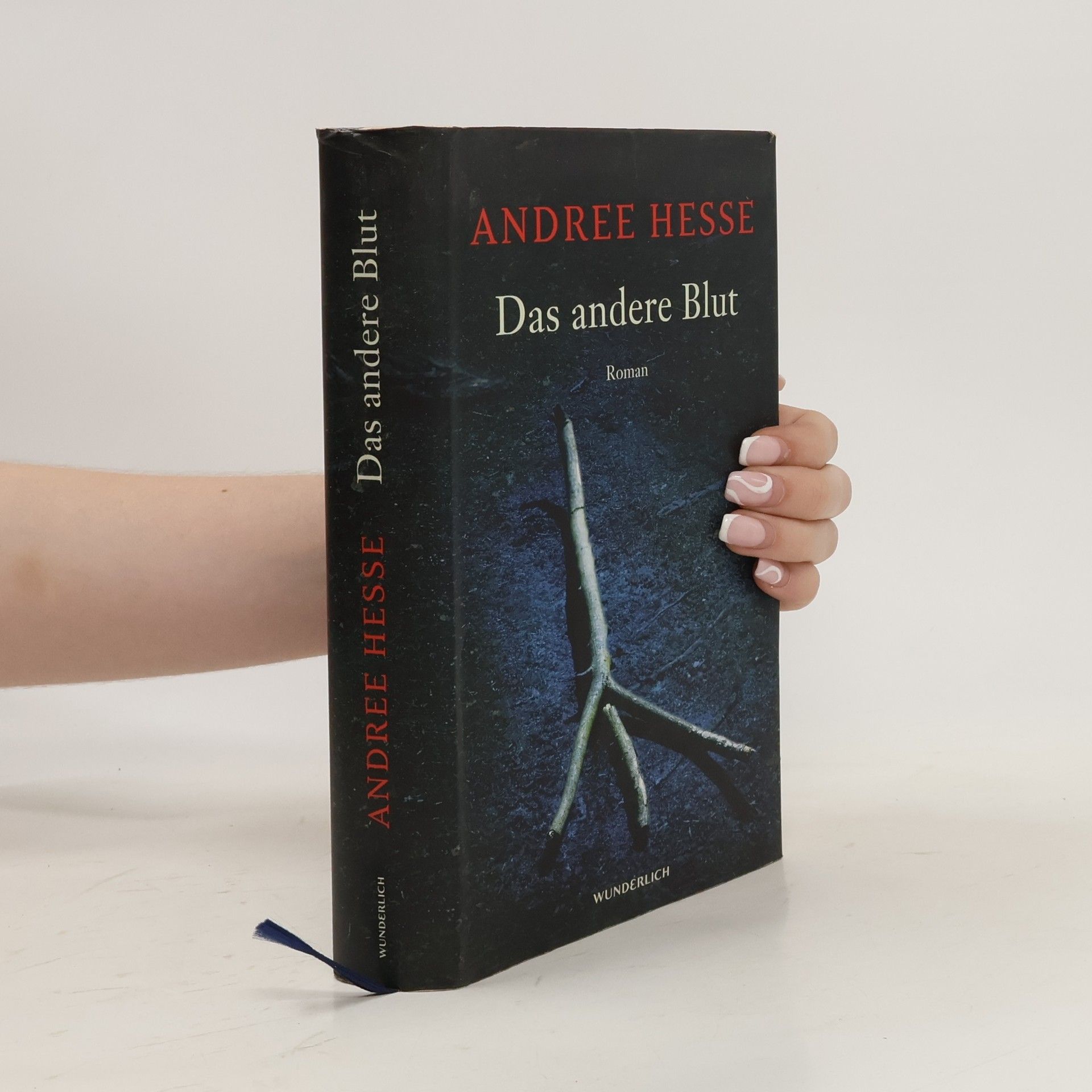 Andree Hesse Das andere Blut
